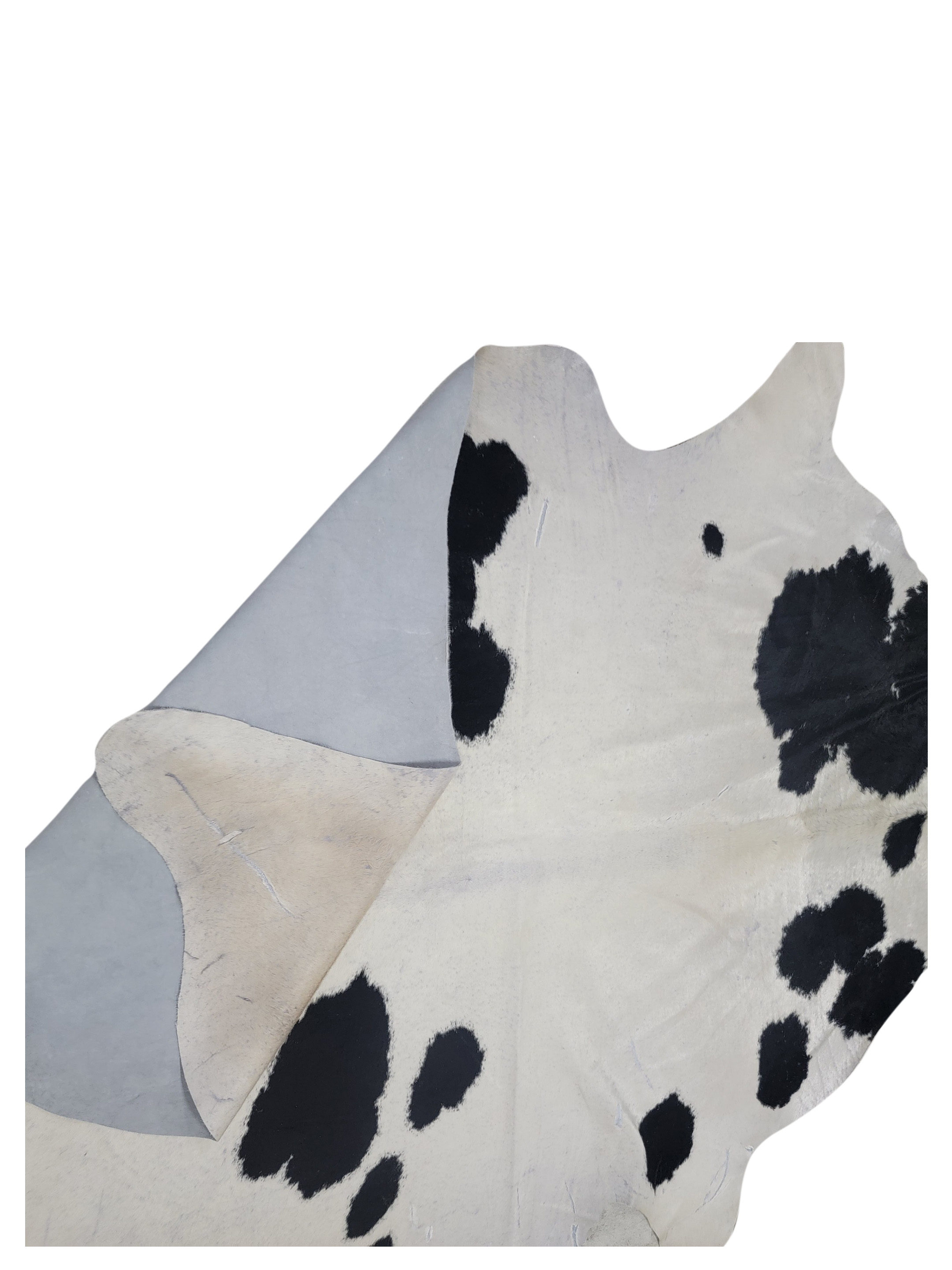 Brazil Cowhide 6x9 Ivory / Black - Image 2 of 3