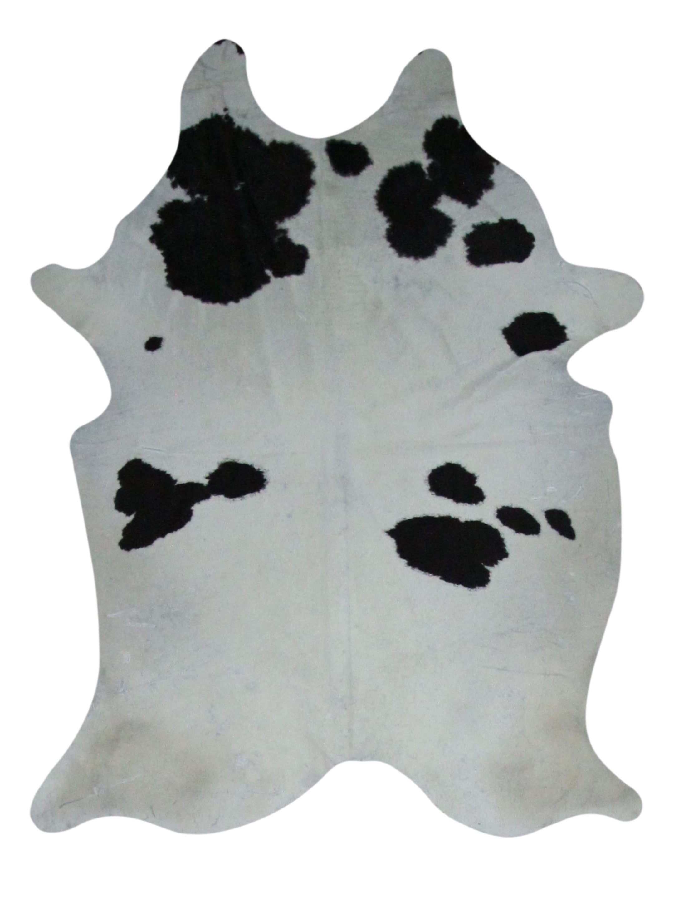 Brazil Cowhide 6x9 Ivory / Black