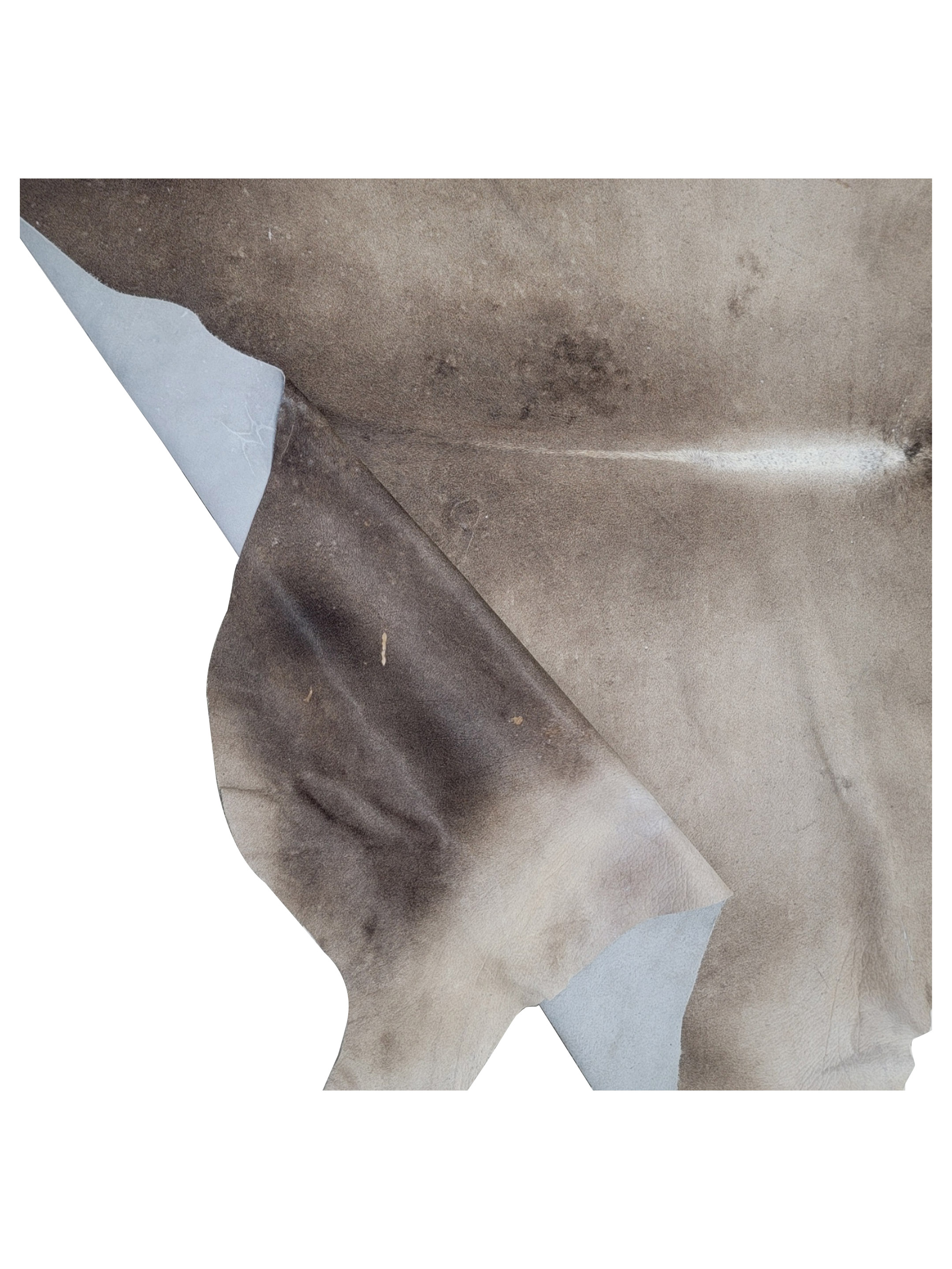 Brazil Cowhide 7x9 Grey / Ivory - Image 2 of 2
