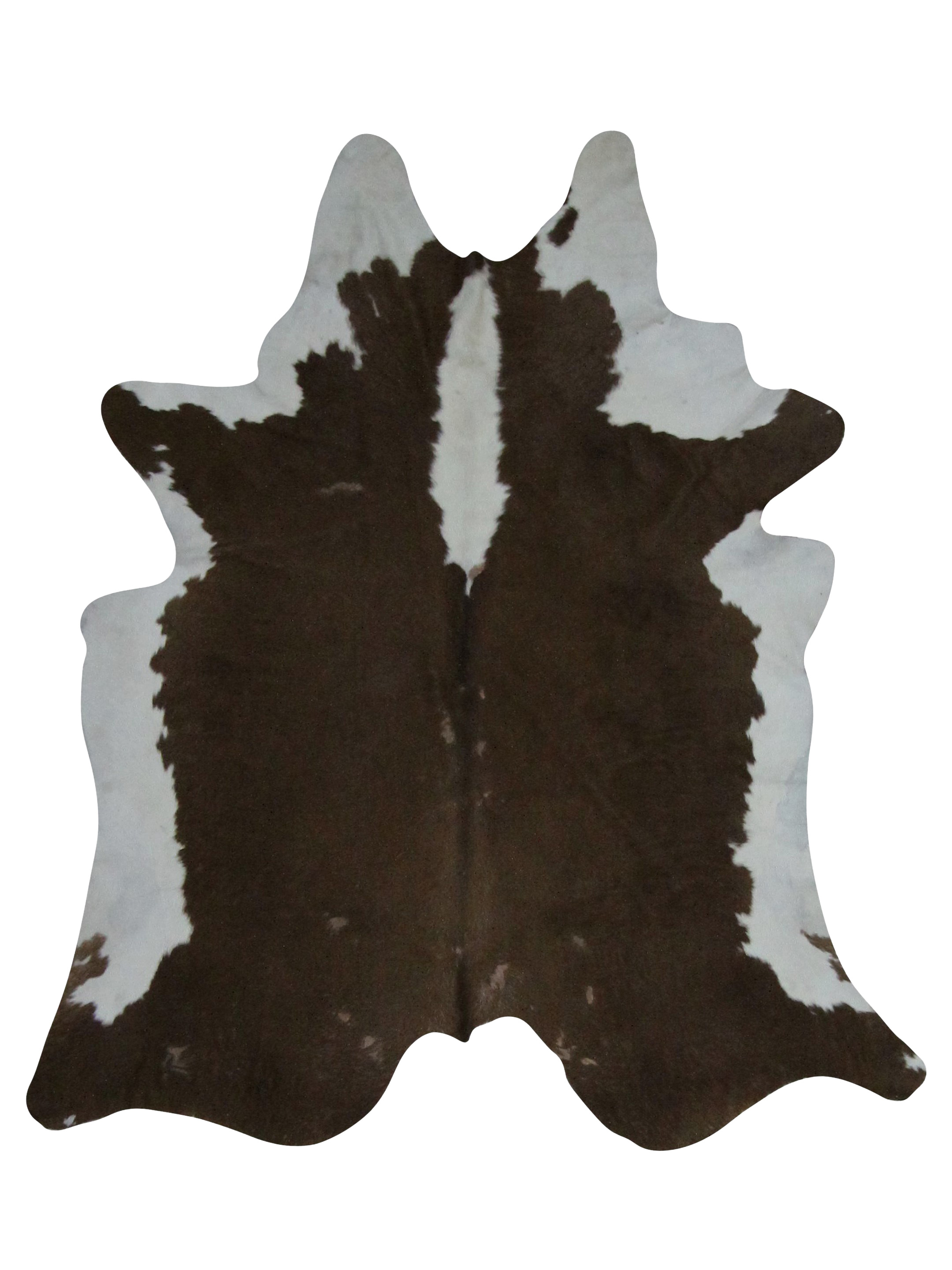 Brazil Cowhide 7x8 Brown / Ivory