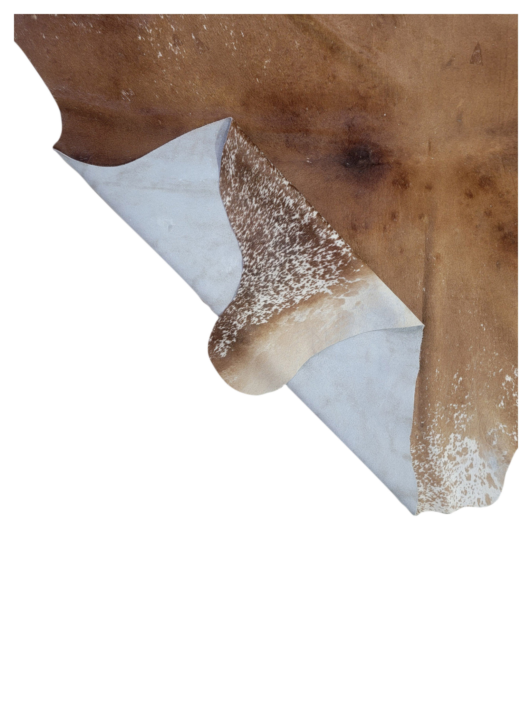 Brazil Cowhide 7x8 Latte / Ivory - Image 2 of 3