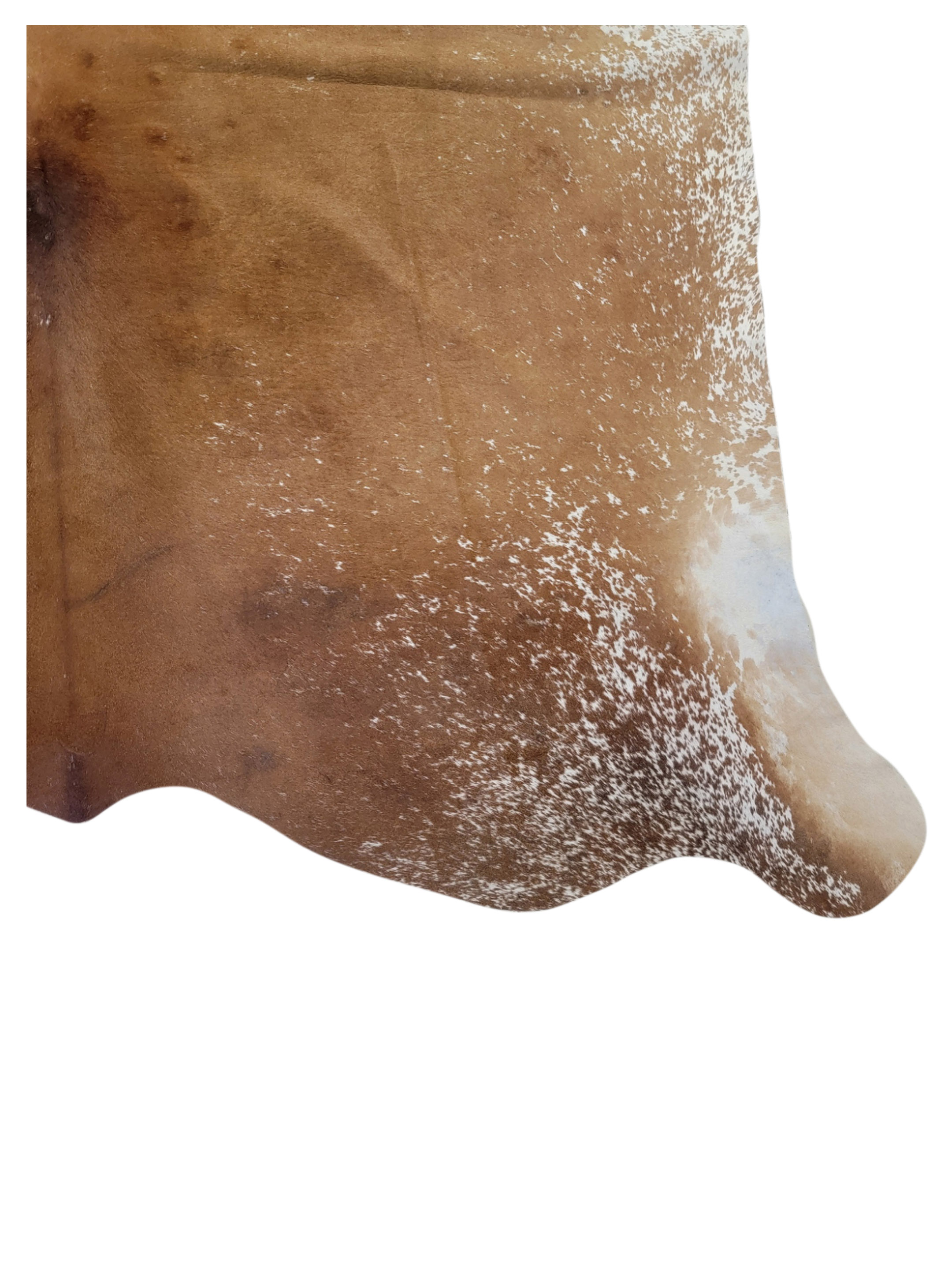 Brazil Cowhide 7x8 Latte / Ivory - Image 3 of 3