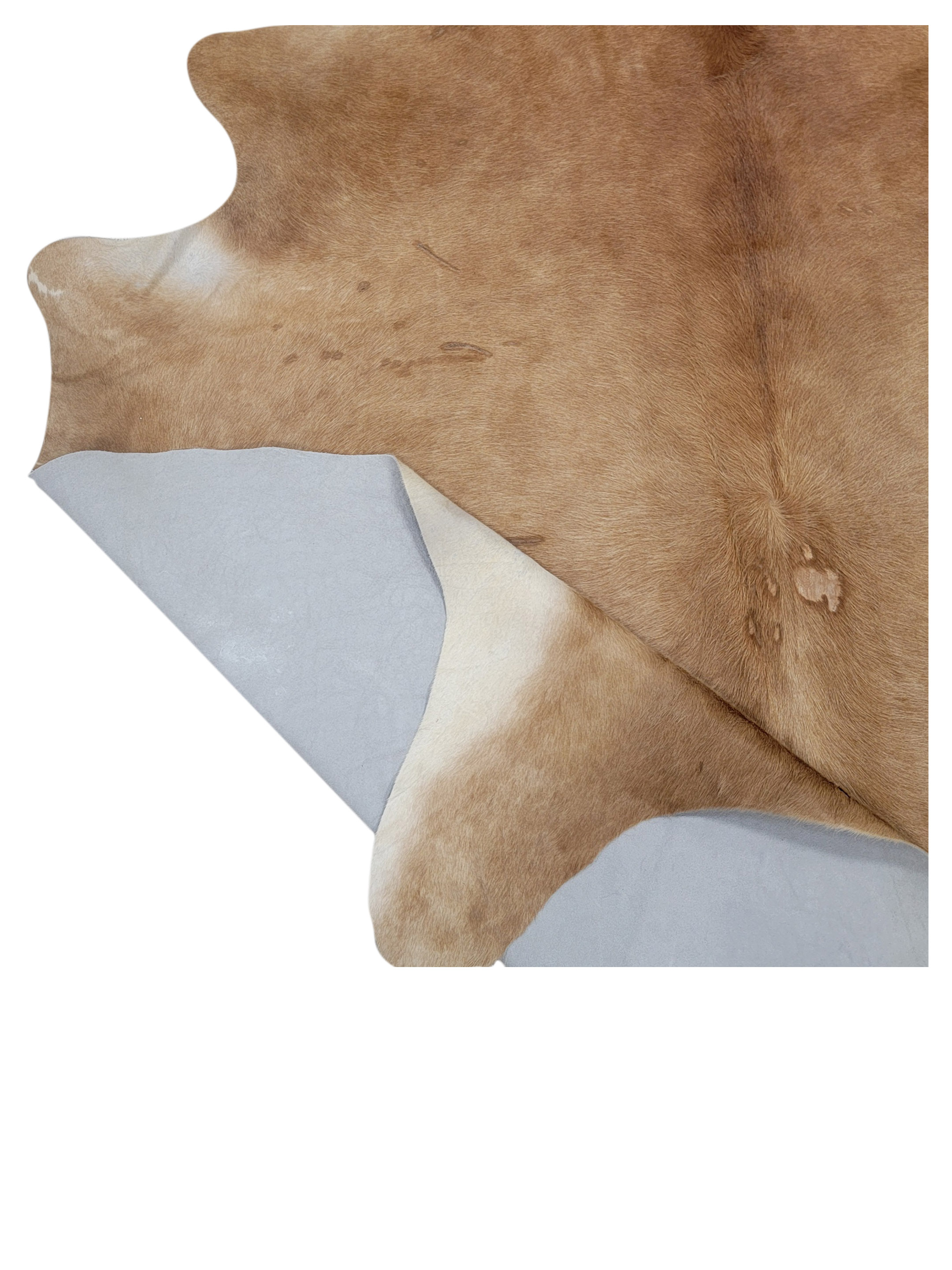 Brazil Cowhide 7x8 Camel / Ivory - Image 2 of 3