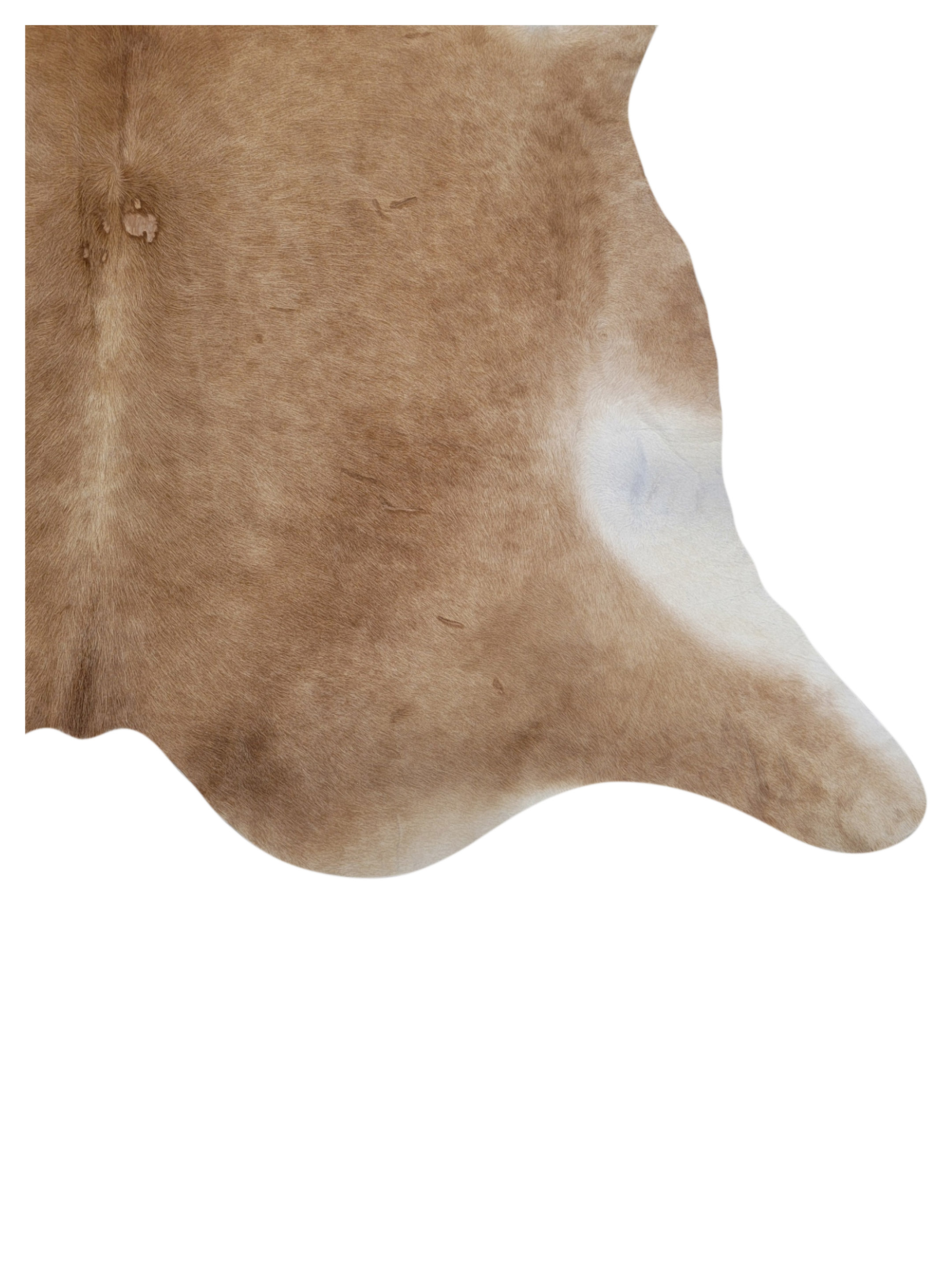 Brazil Cowhide 7x8 Camel / Ivory - Image 3 of 3