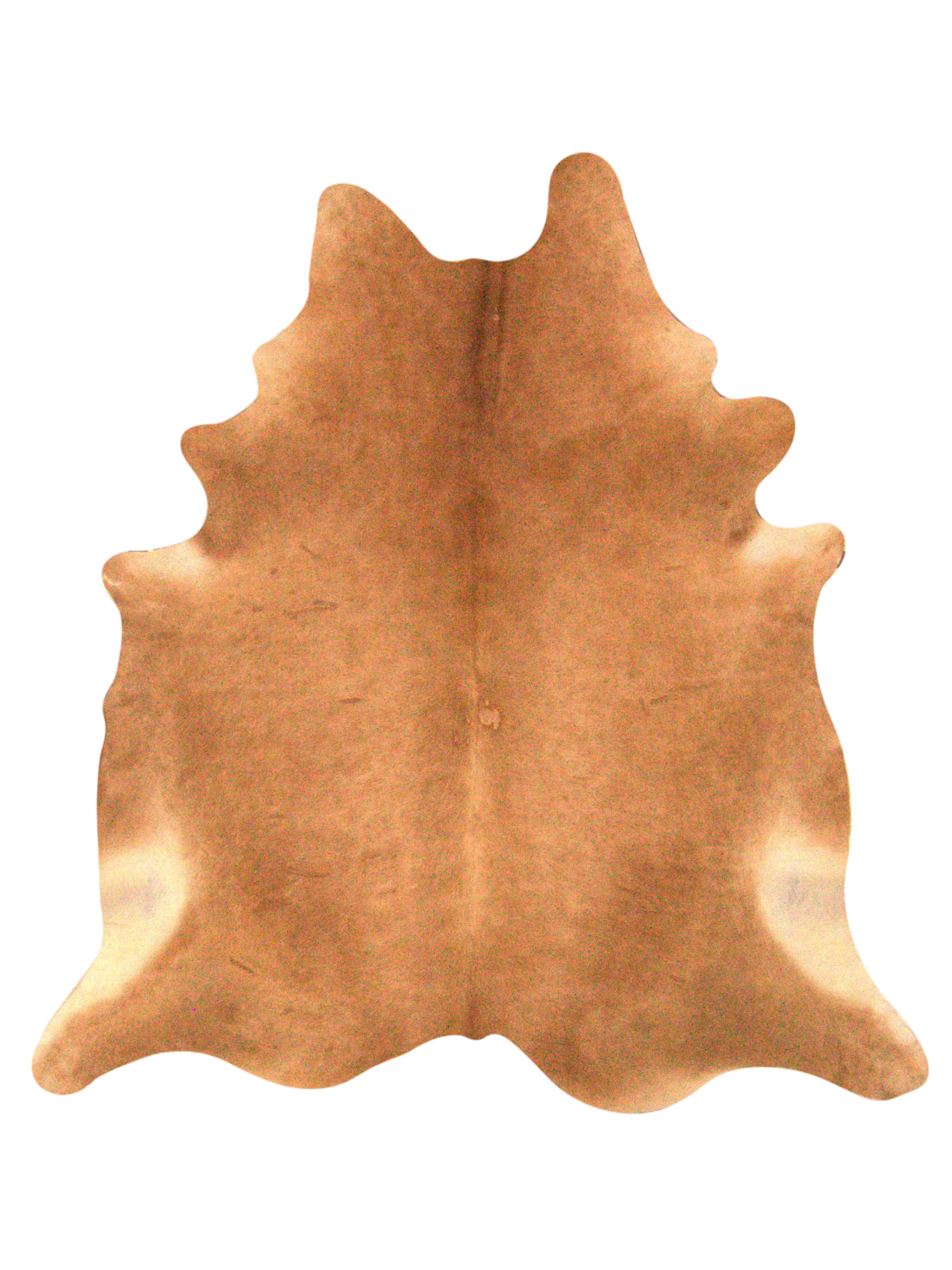 Brazil Cowhide 7x8 Camel / Ivory