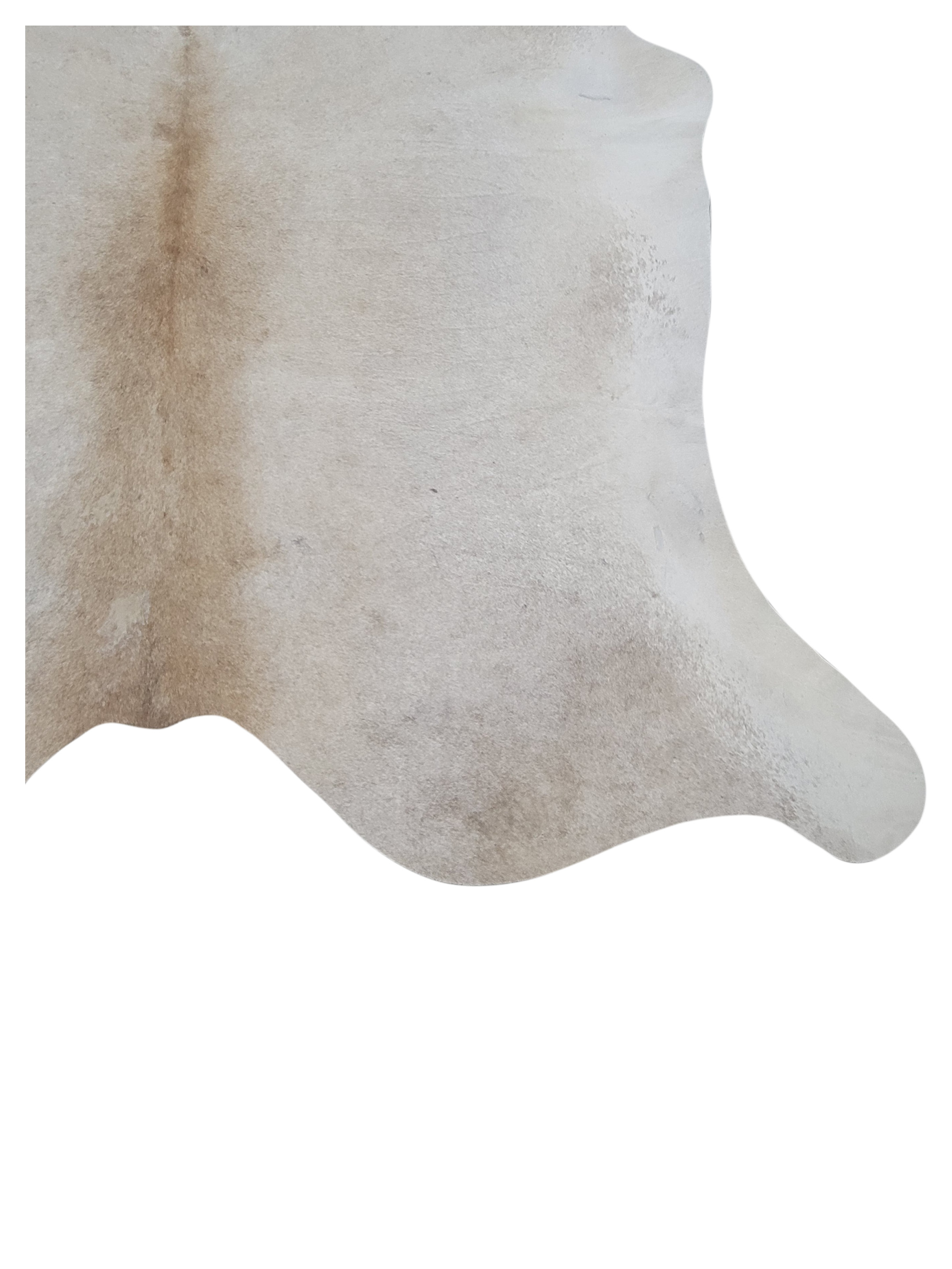 Brazil Cowhide 7x8 Ivory / Beige - Image 3 of 3