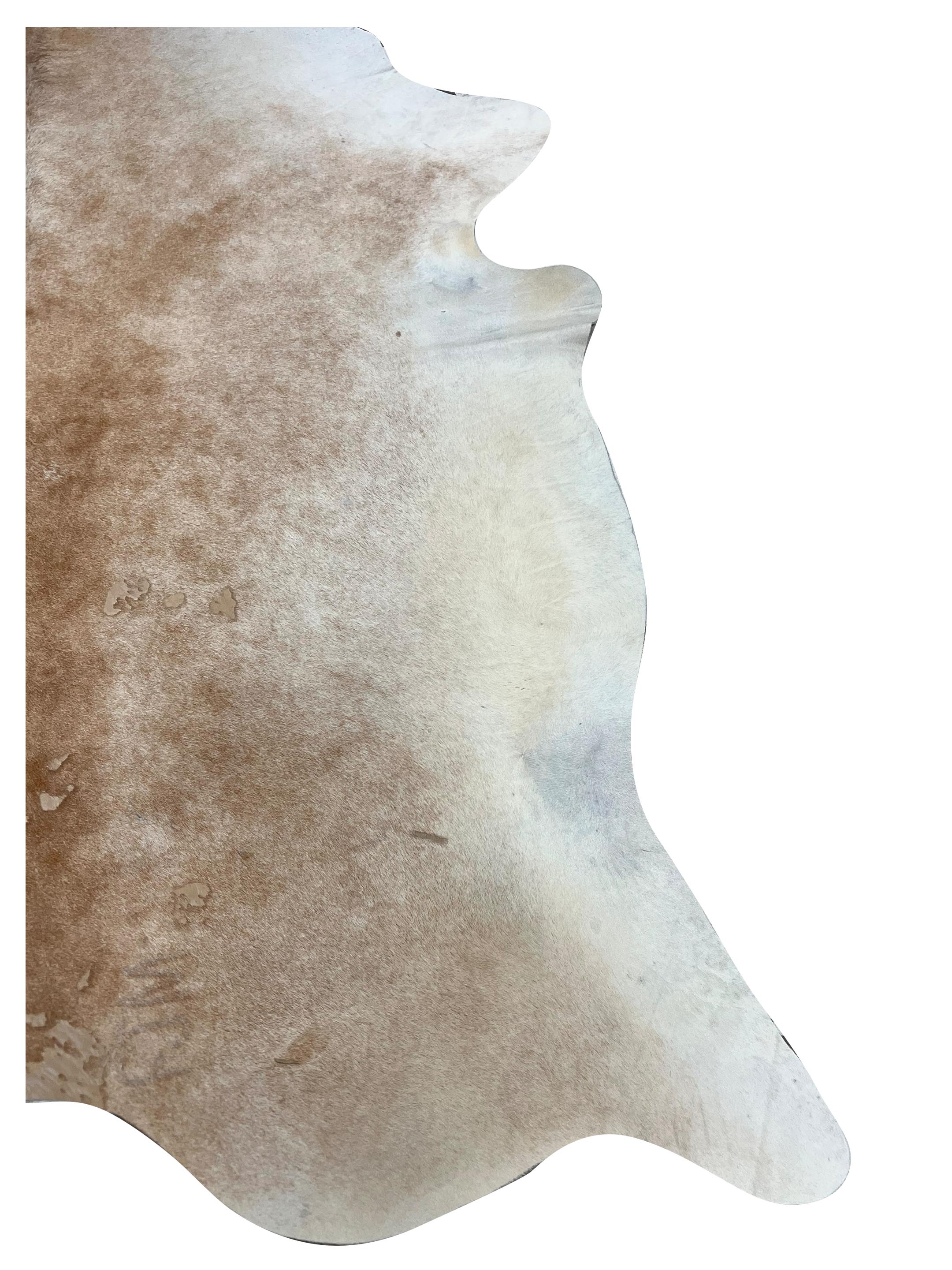 Brazil Cowhide 7x8 Ivory / Camel - Image 2 of 4