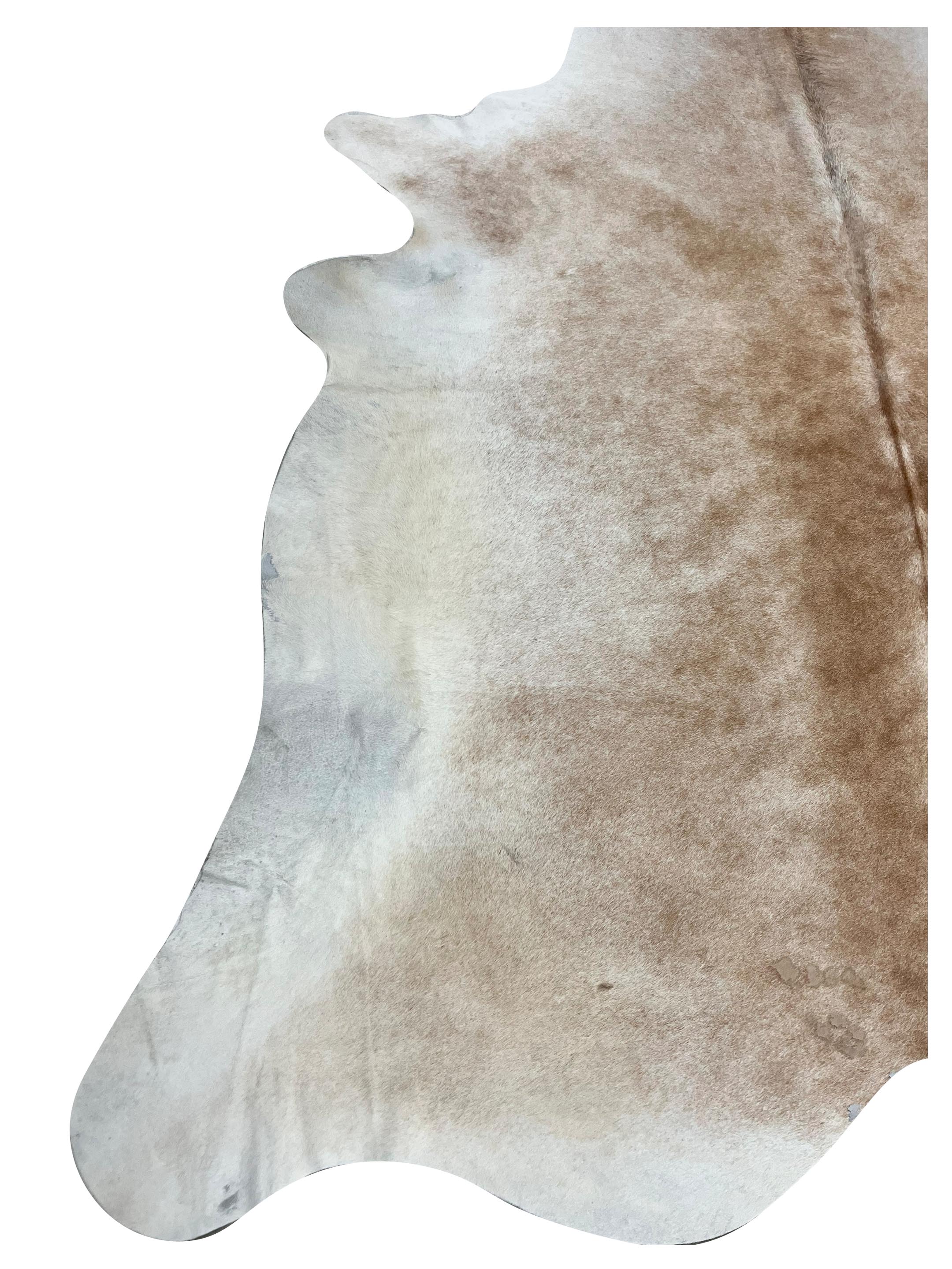 Brazil Cowhide 7x8 Ivory / Camel - Image 3 of 4