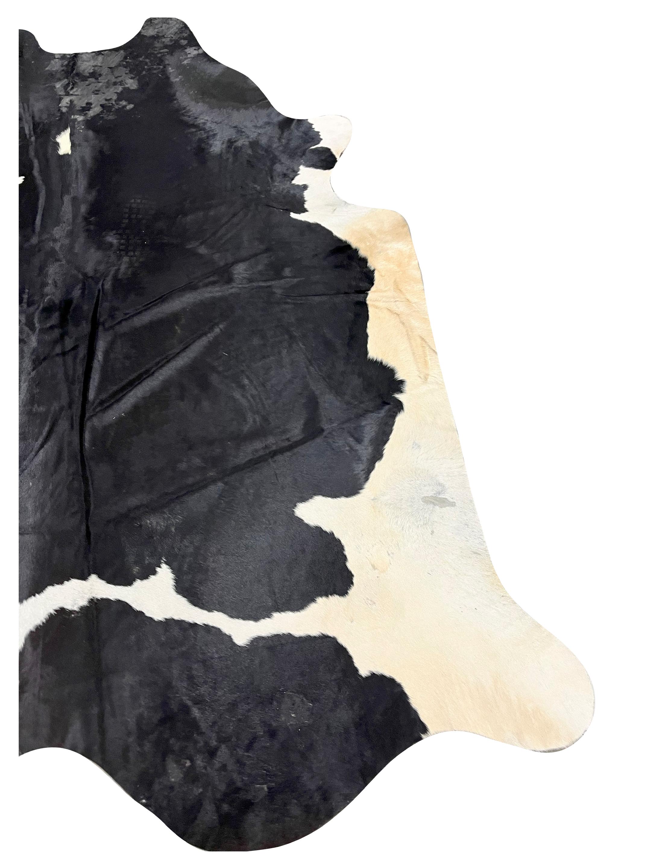 Brazil Cowhide 7x8 Black / Ivory - Image 2 of 4