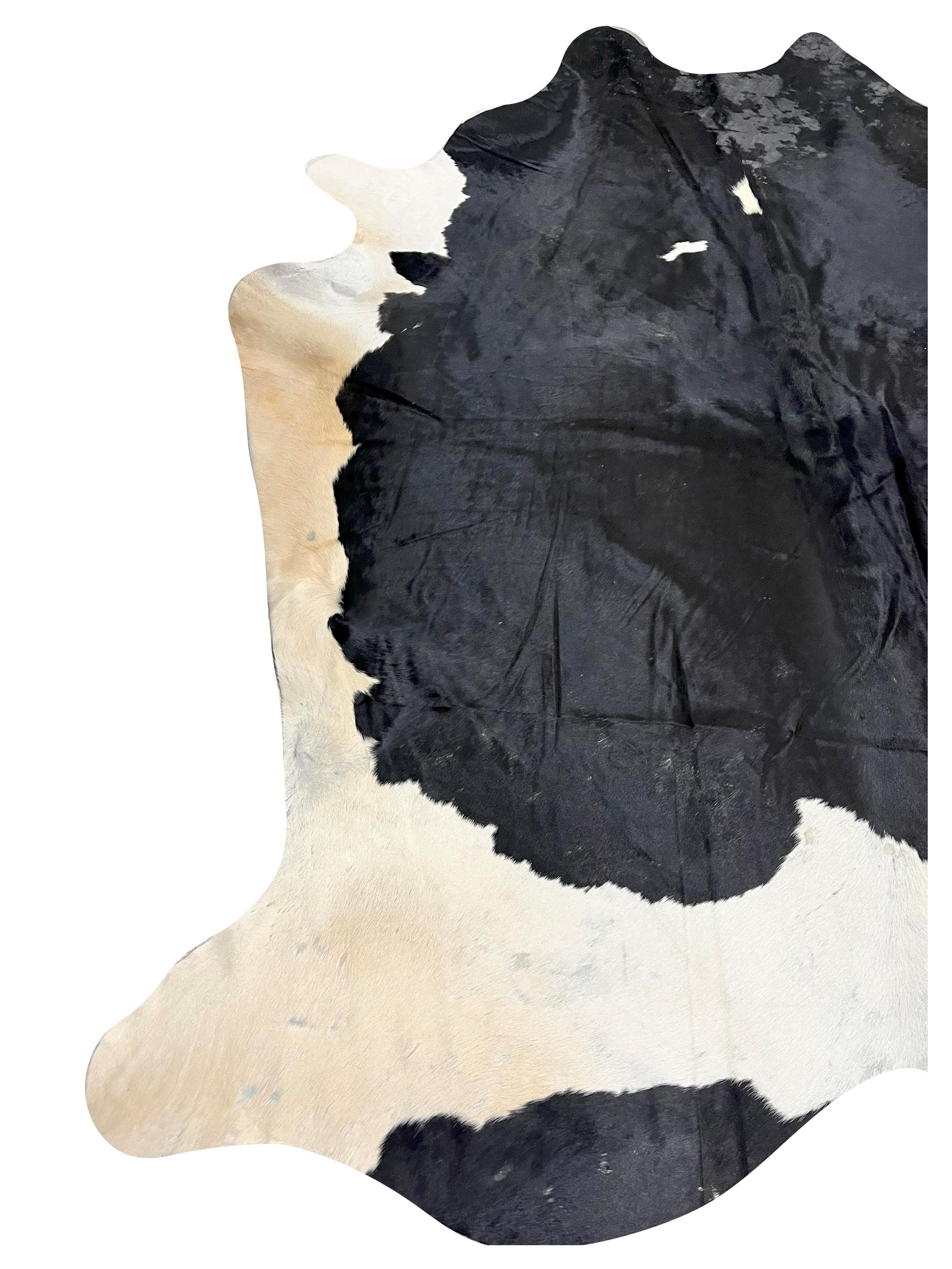 Brazil Cowhide 7x8 Black / Ivory - Image 3 of 4