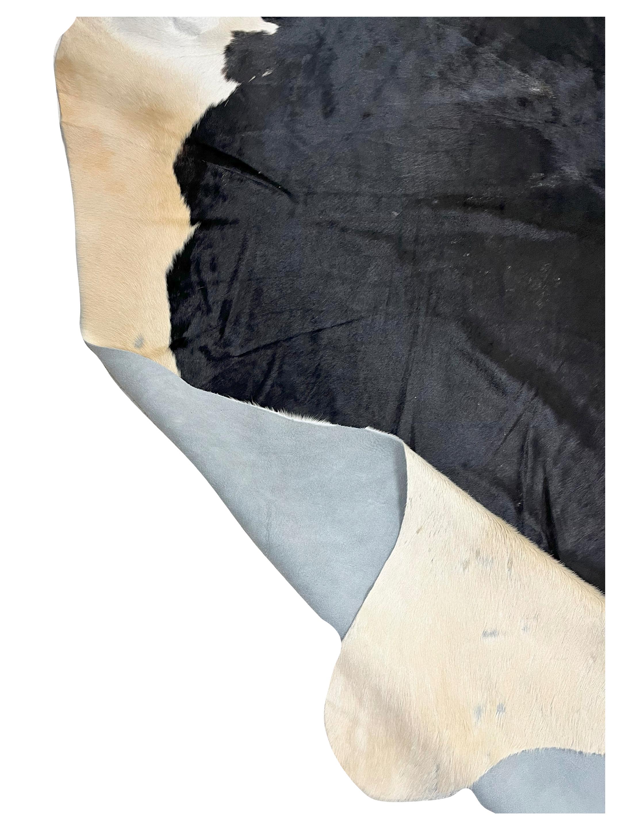 Brazil Cowhide 7x8 Black / Ivory - Image 4 of 4