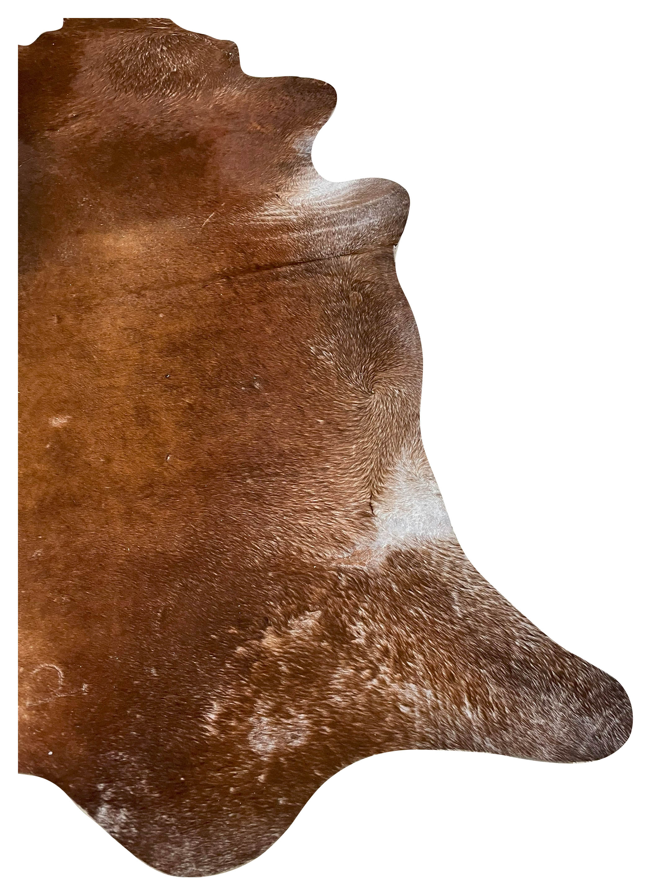 Brazil Cowhide 7x8 Mocha / Grey - Image 2 of 4