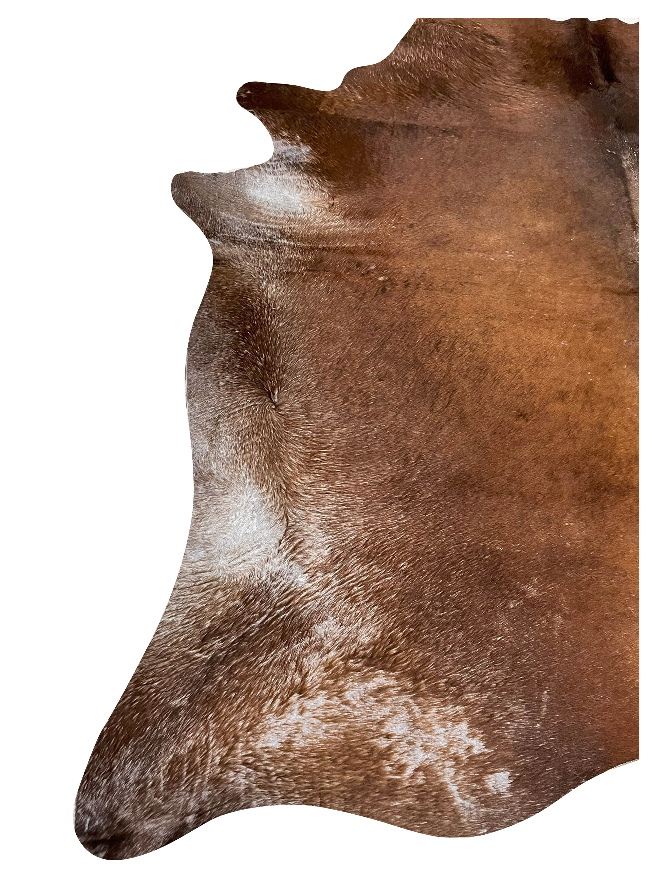Brazil Cowhide 7x8 Mocha / Grey - Image 3 of 4