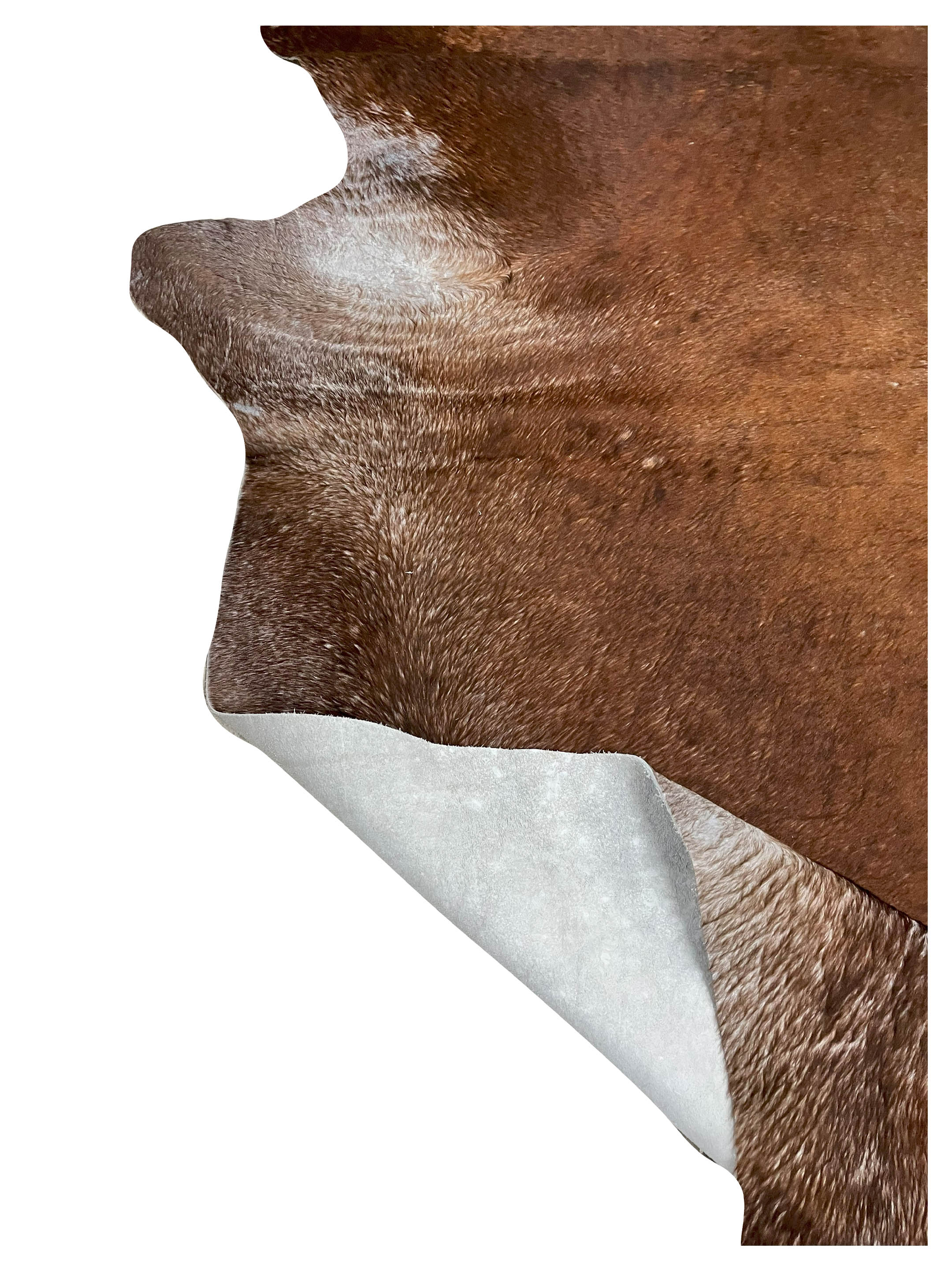Brazil Cowhide 7x8 Mocha / Grey - Image 4 of 4
