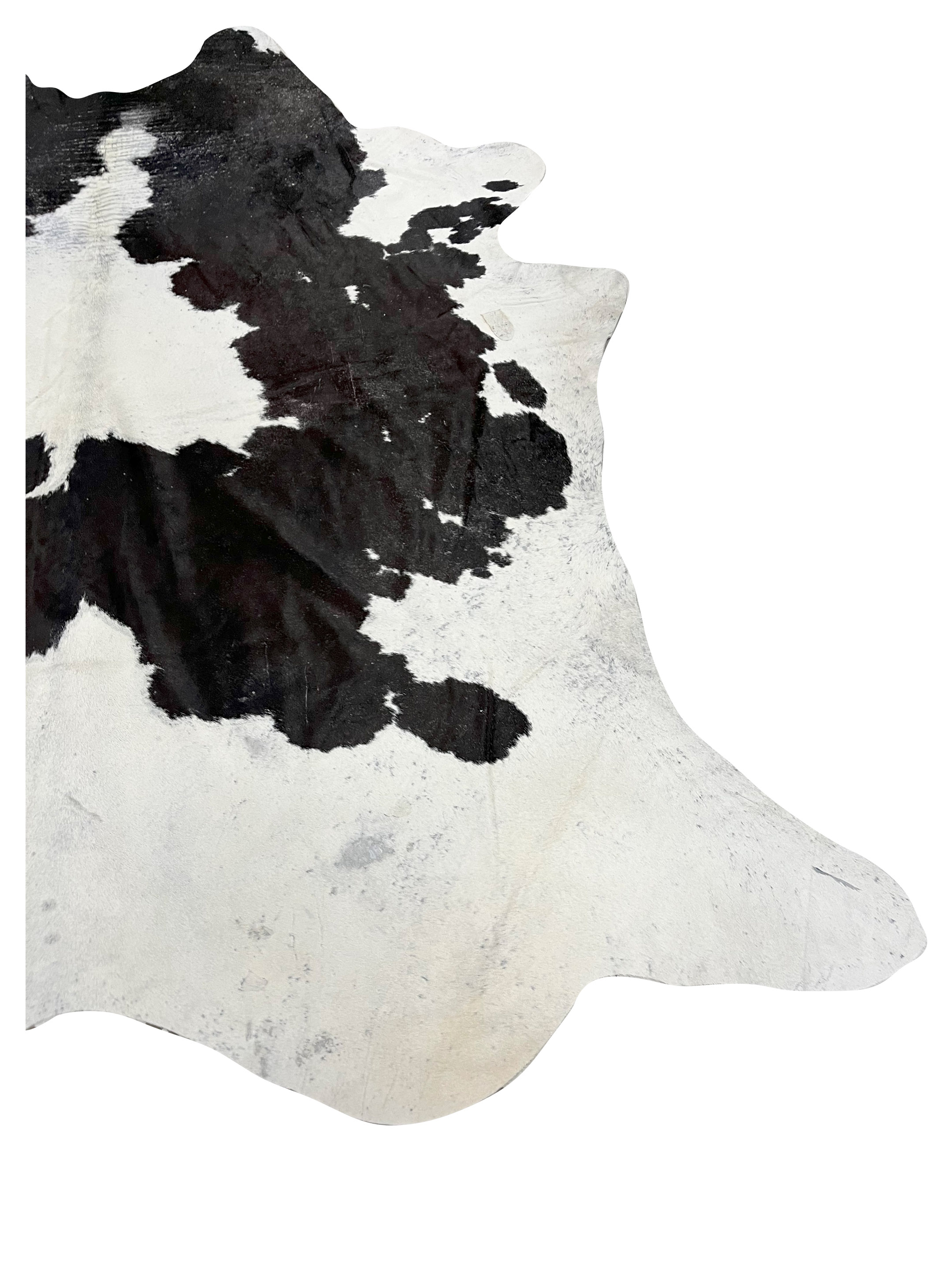 Brazil Cowhide 7x8 Ivory / Black - Image 2 of 4