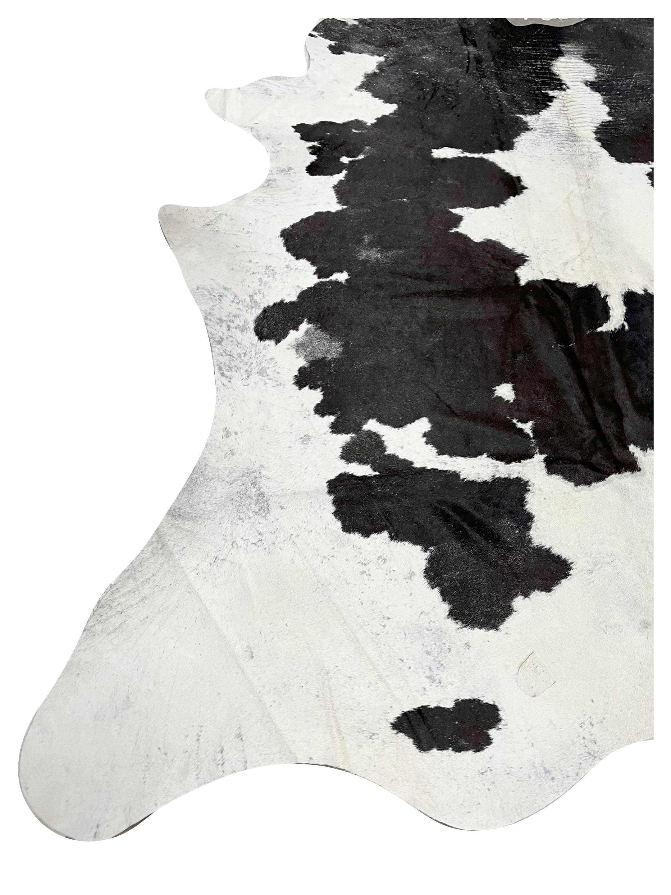 Brazil Cowhide 7x8 Ivory / Black - Image 3 of 4