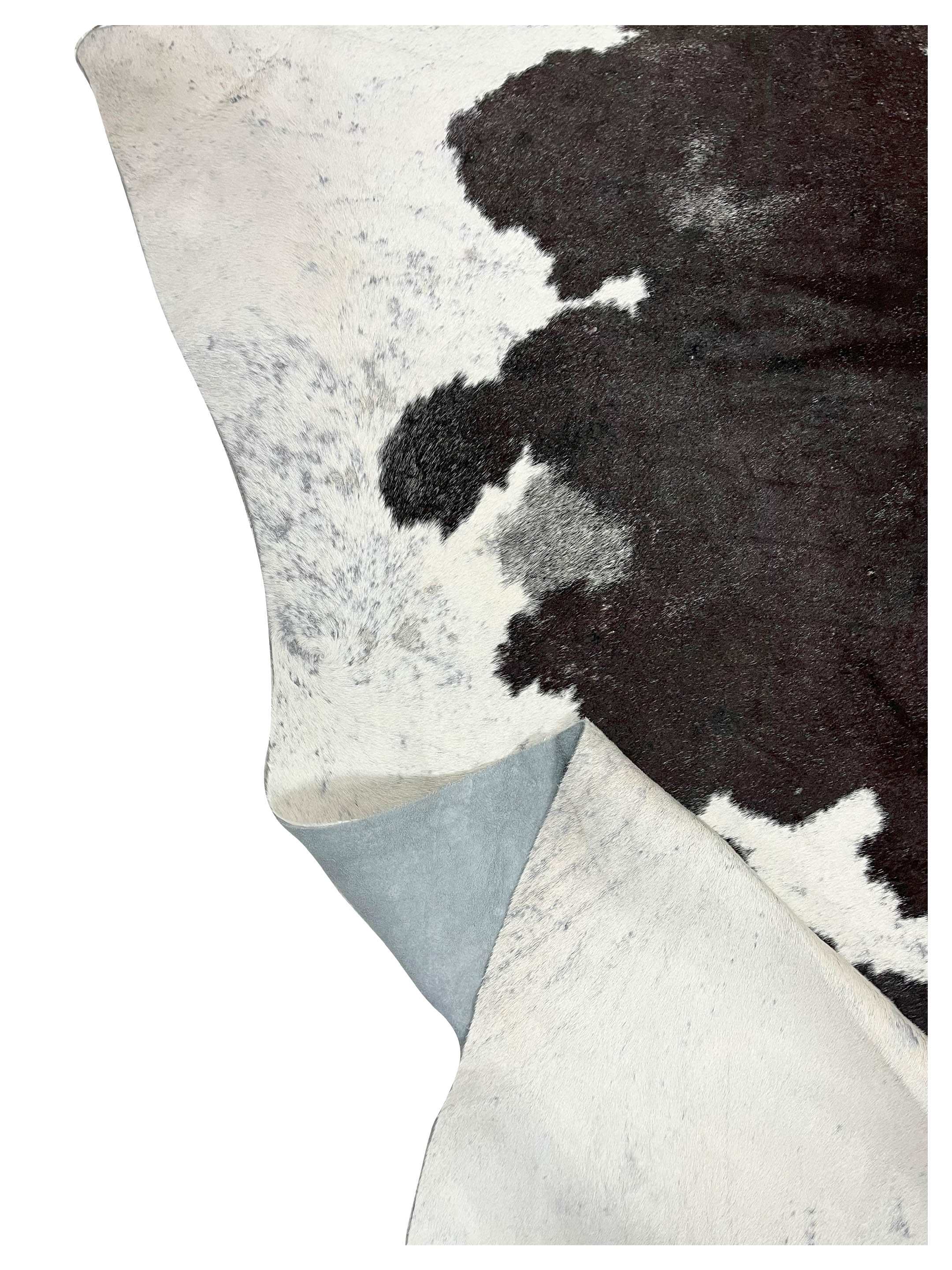 Brazil Cowhide 7x8 Ivory / Black - Image 4 of 4