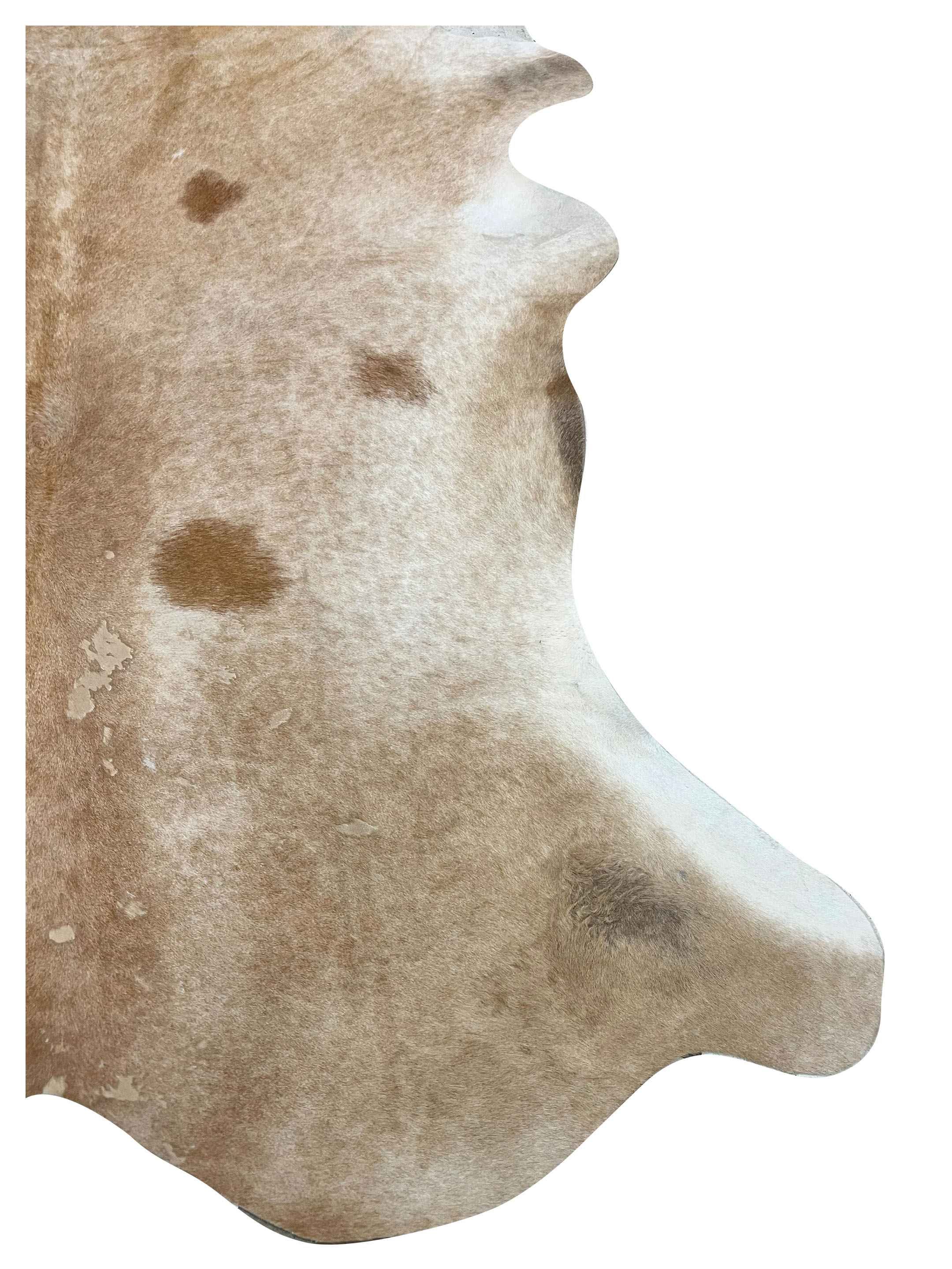 Brazil Cowhide 7x8 Camel / Beige - Image 2 of 4