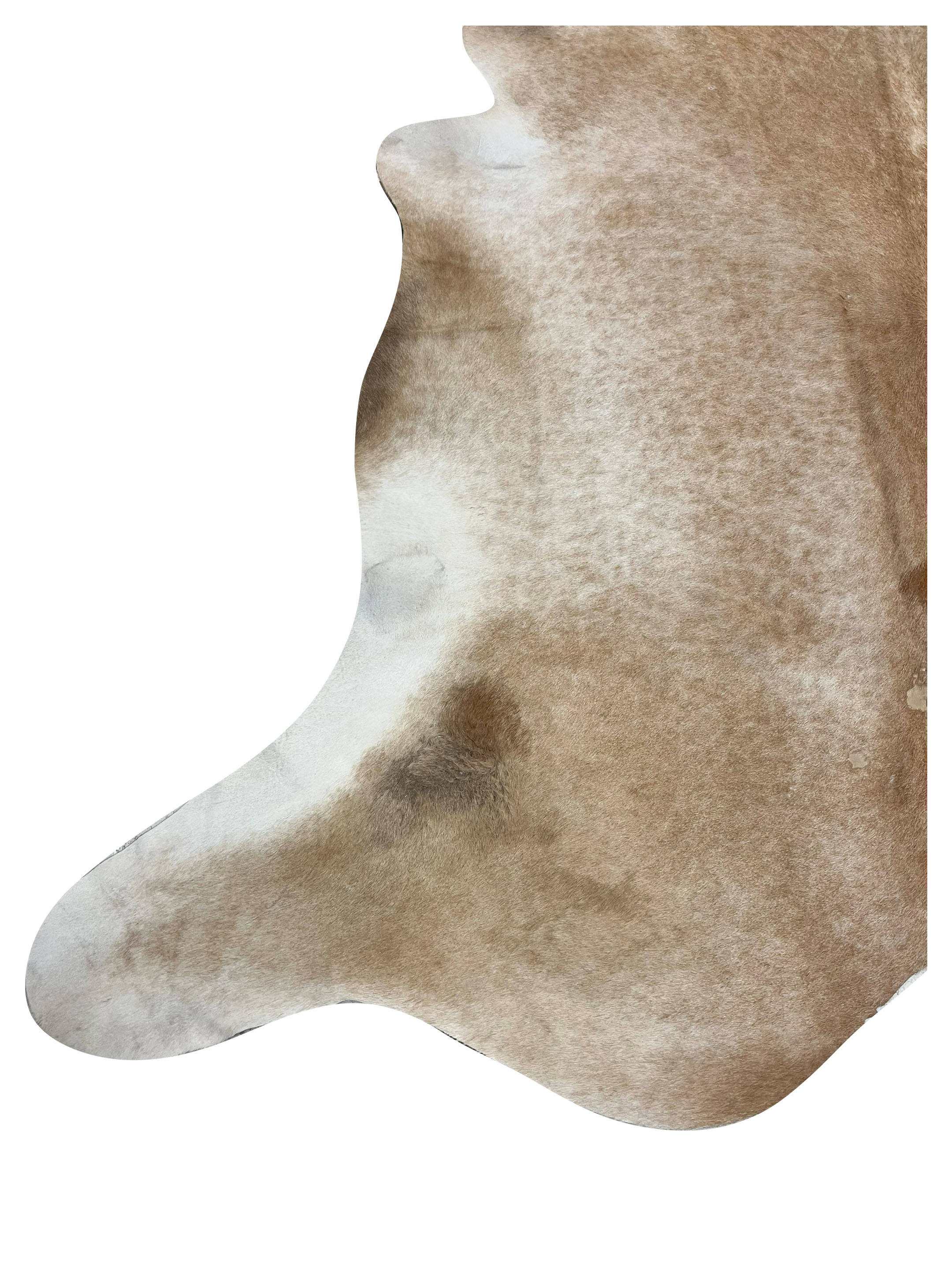 Brazil Cowhide 7x8 Camel / Beige - Image 3 of 4