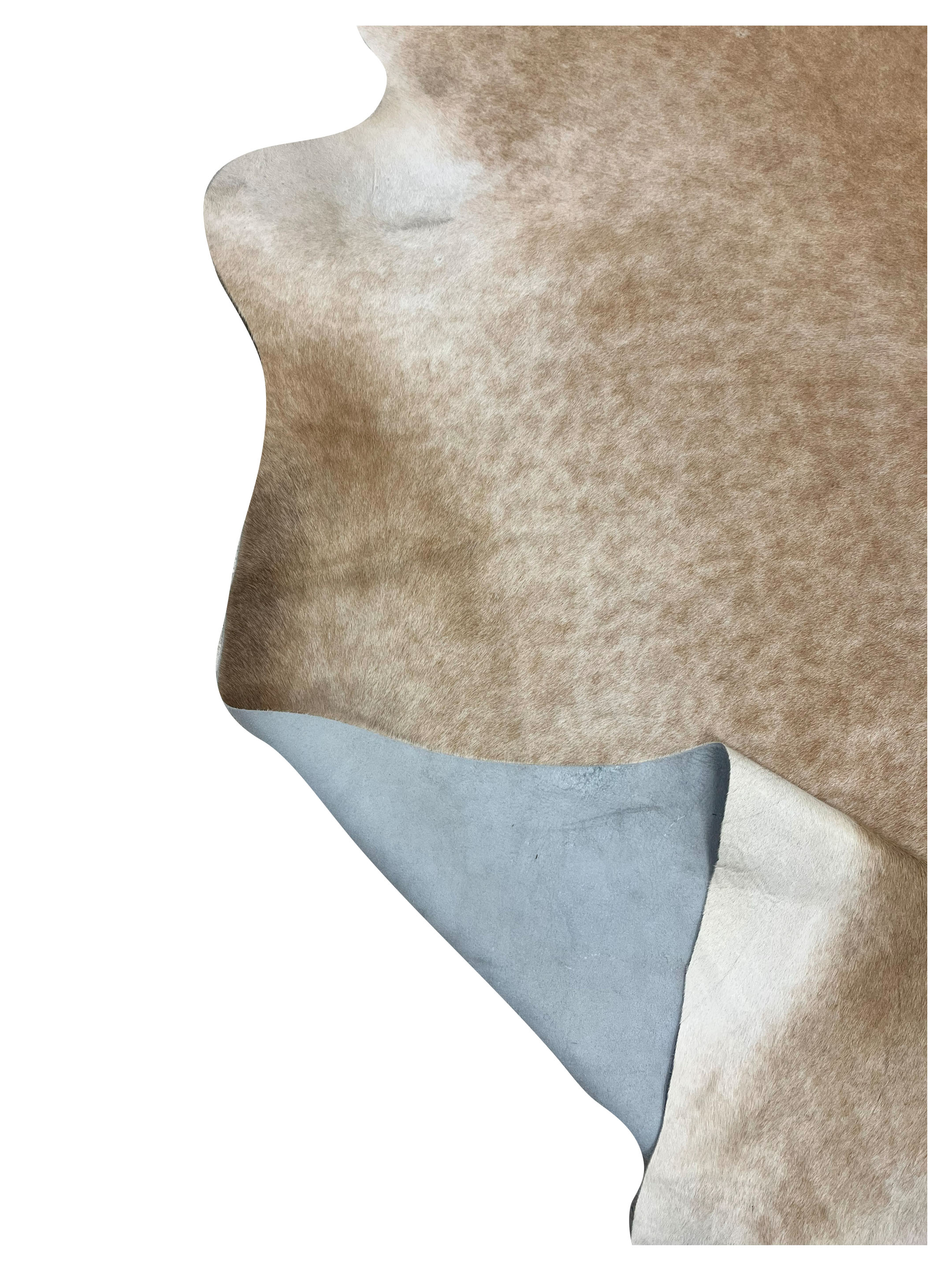 Brazil Cowhide 7x8 Camel / Beige - Image 4 of 4