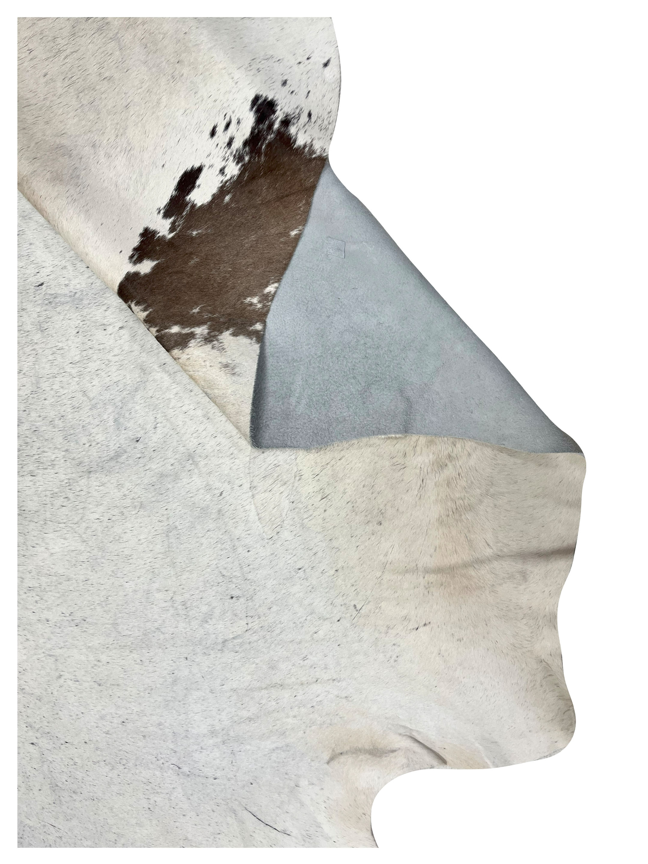 Brazil Cowhide 7x8 Ivory / Brown - Image 4 of 4