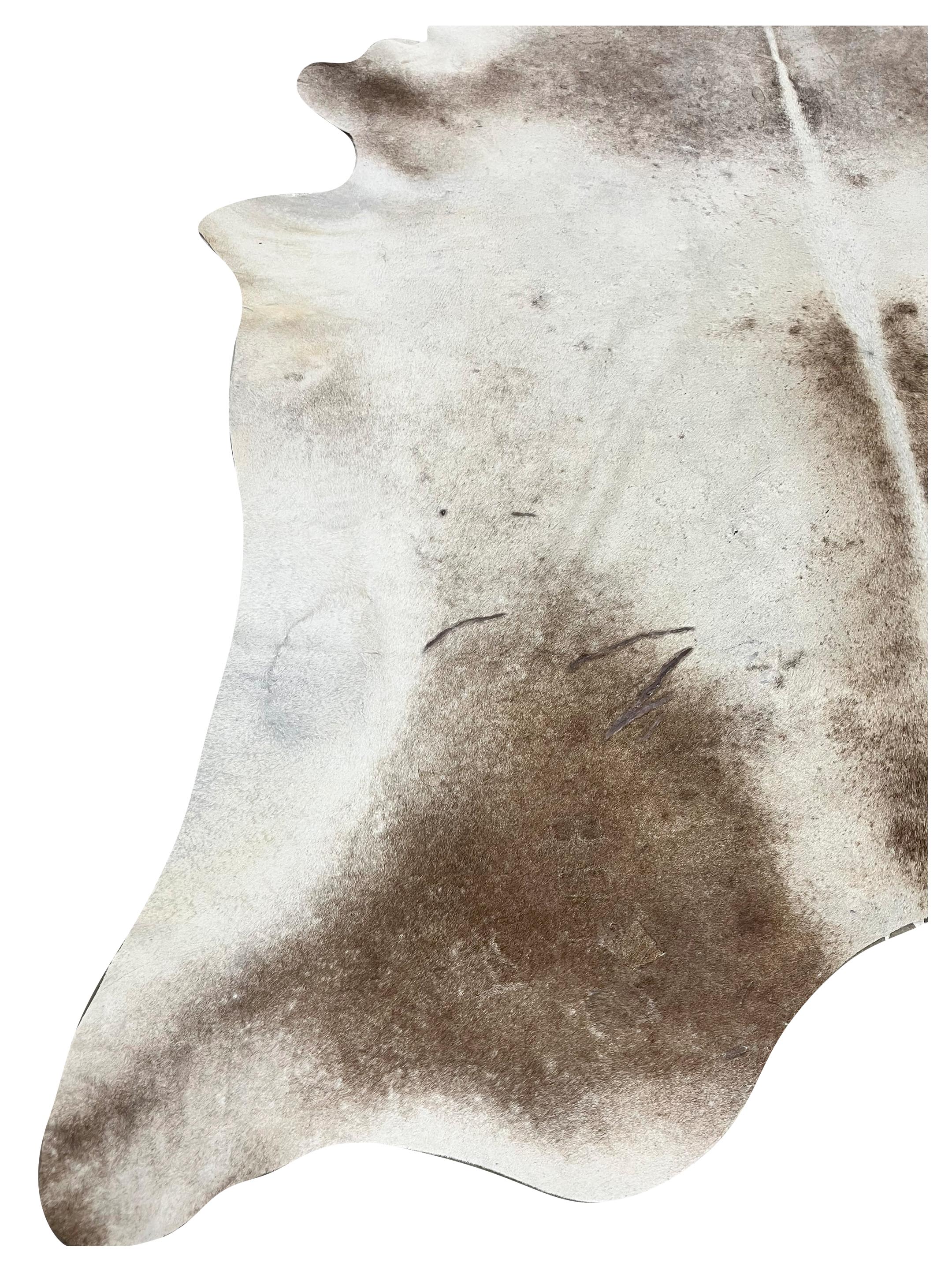 Brazil Cowhide 7x9 Ivory / Brown - Image 3 of 4