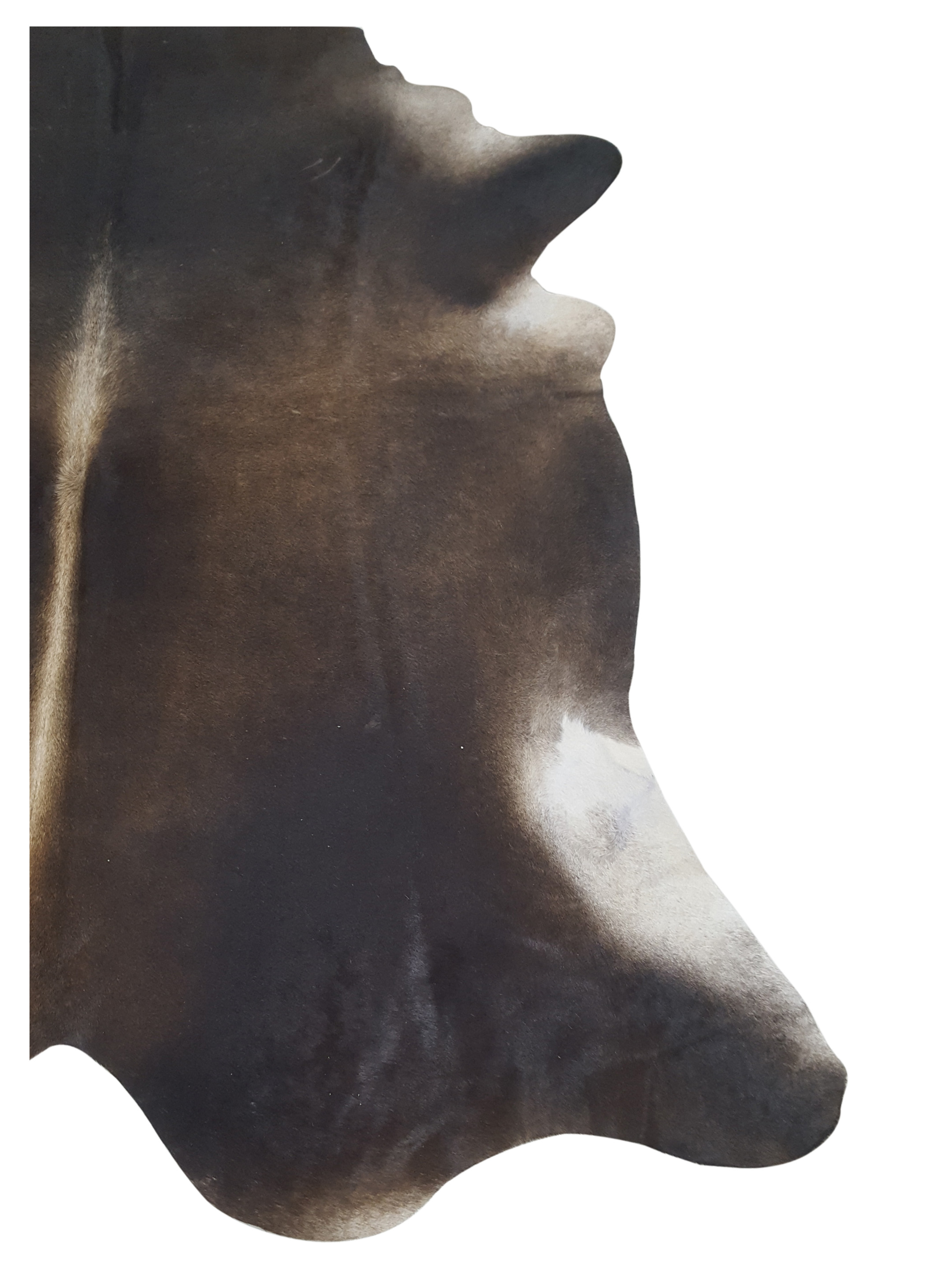 Brazil Cowhide 7x8 Mocha / Ivory - Image 2 of 4