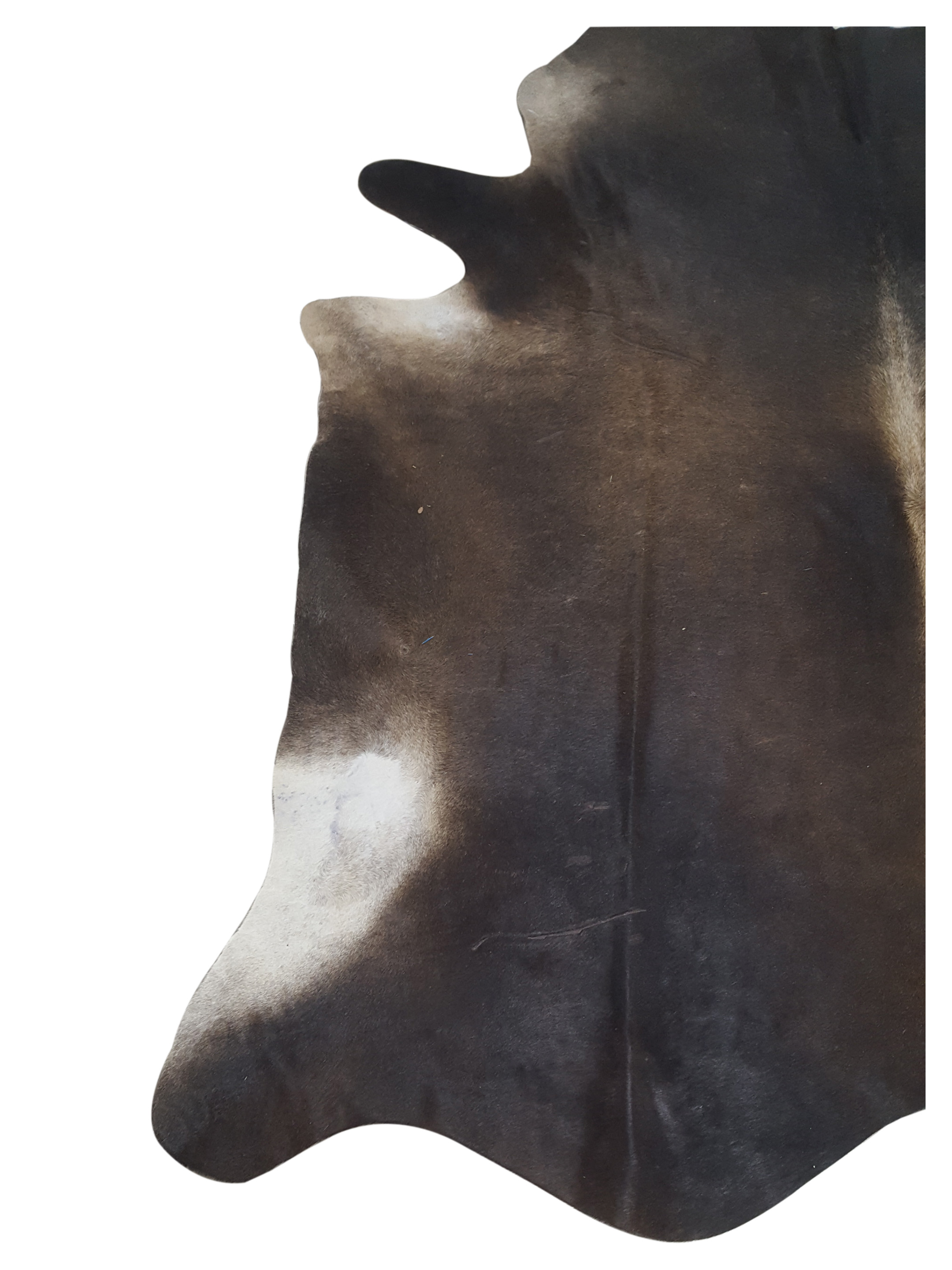 Brazil Cowhide 7x8 Mocha / Ivory - Image 3 of 4