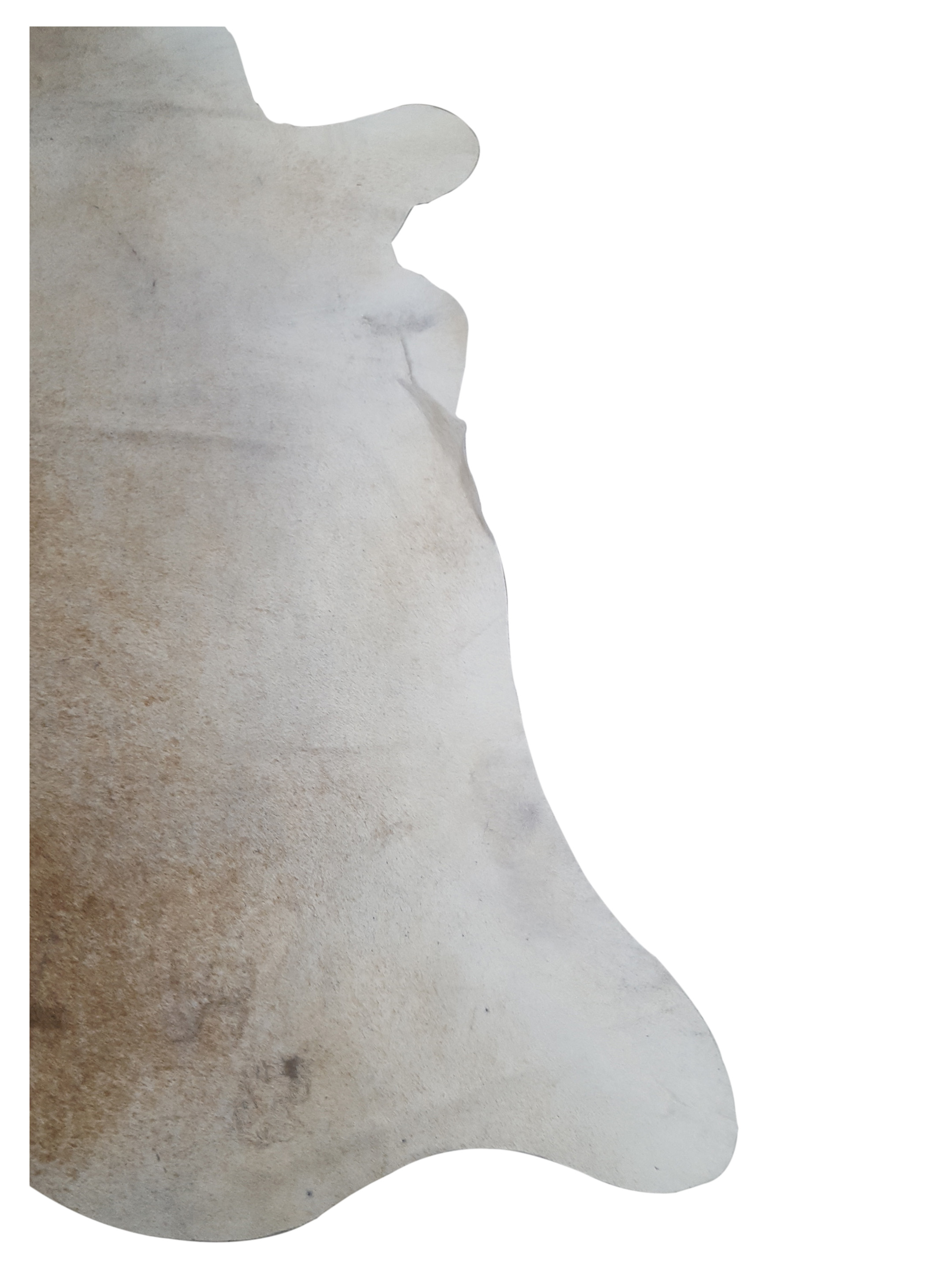 Brazil Cowhide 7x9 Ivory / Mocha - Image 2 of 4