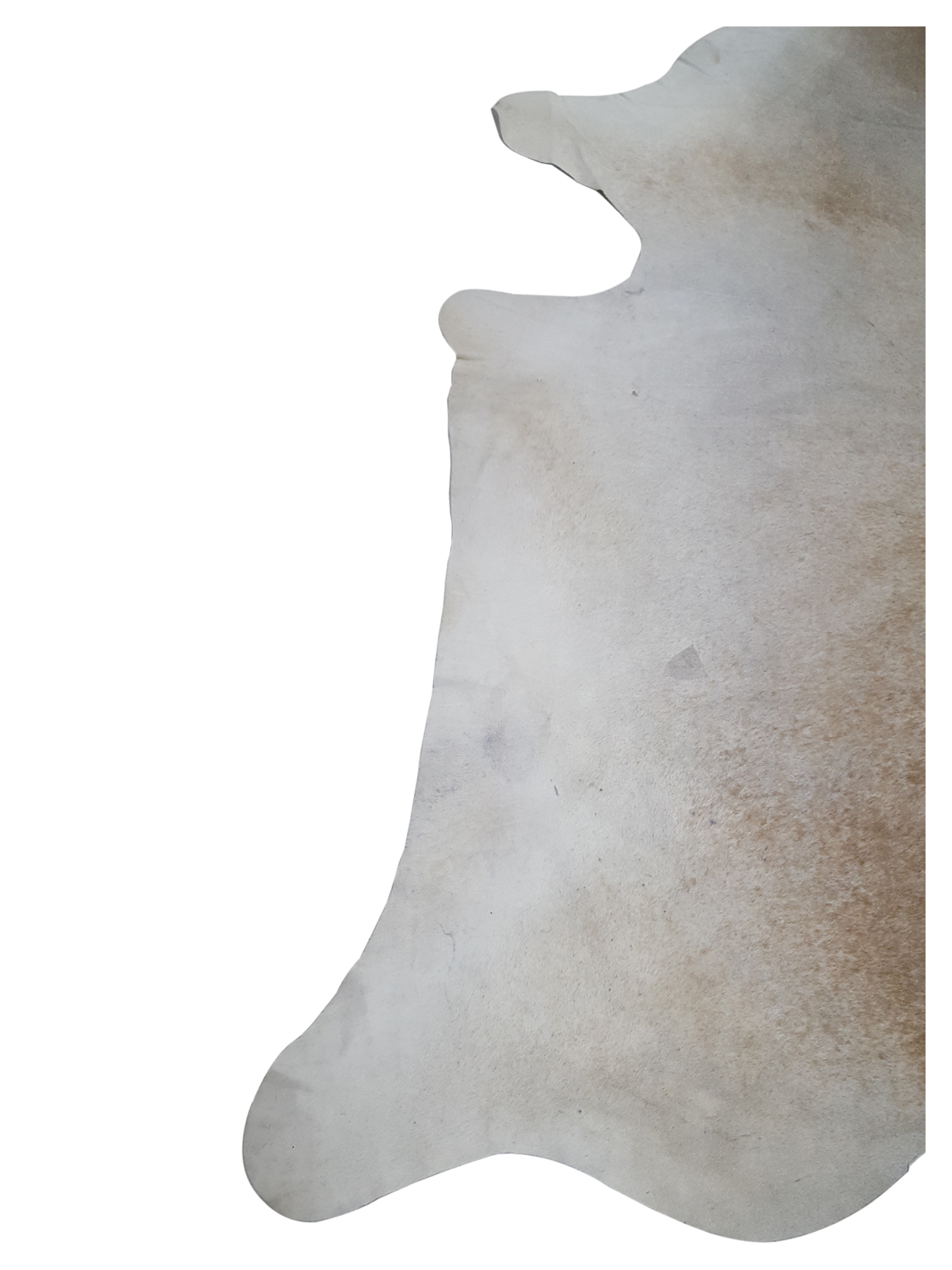 Brazil Cowhide 7x9 Ivory / Mocha - Image 3 of 4