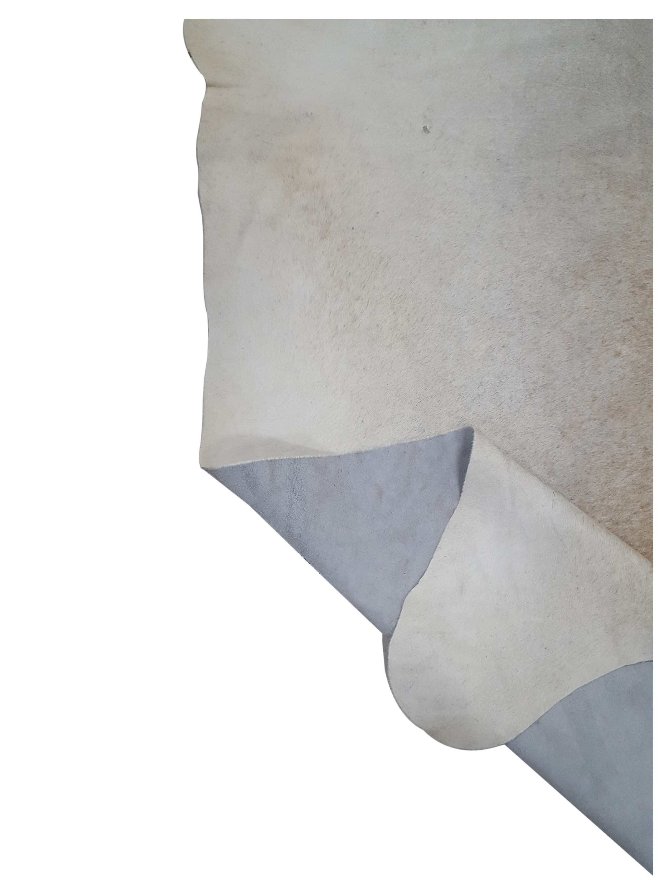 Brazil Cowhide 7x9 Ivory / Mocha - Image 4 of 4