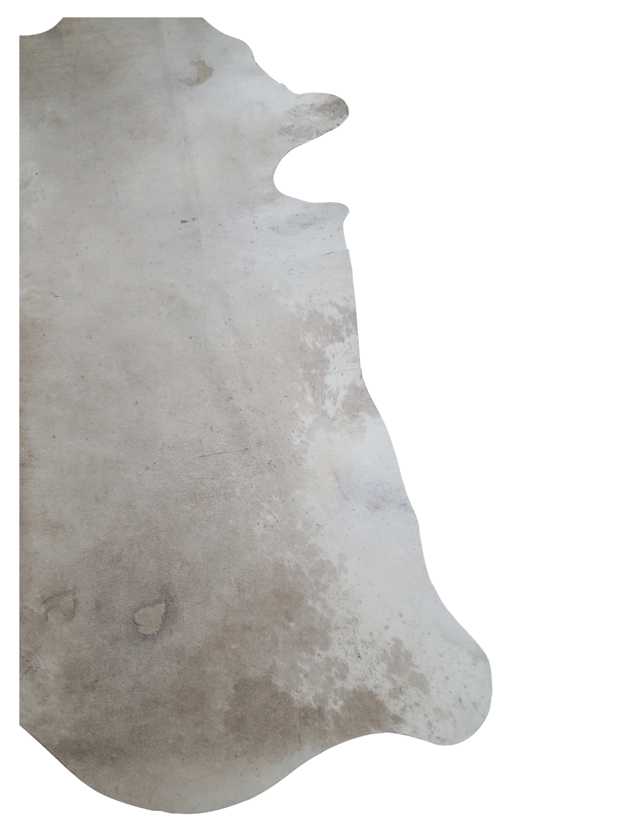 Brazil Cowhide 7x9 Ivory / Beige - Image 2 of 4