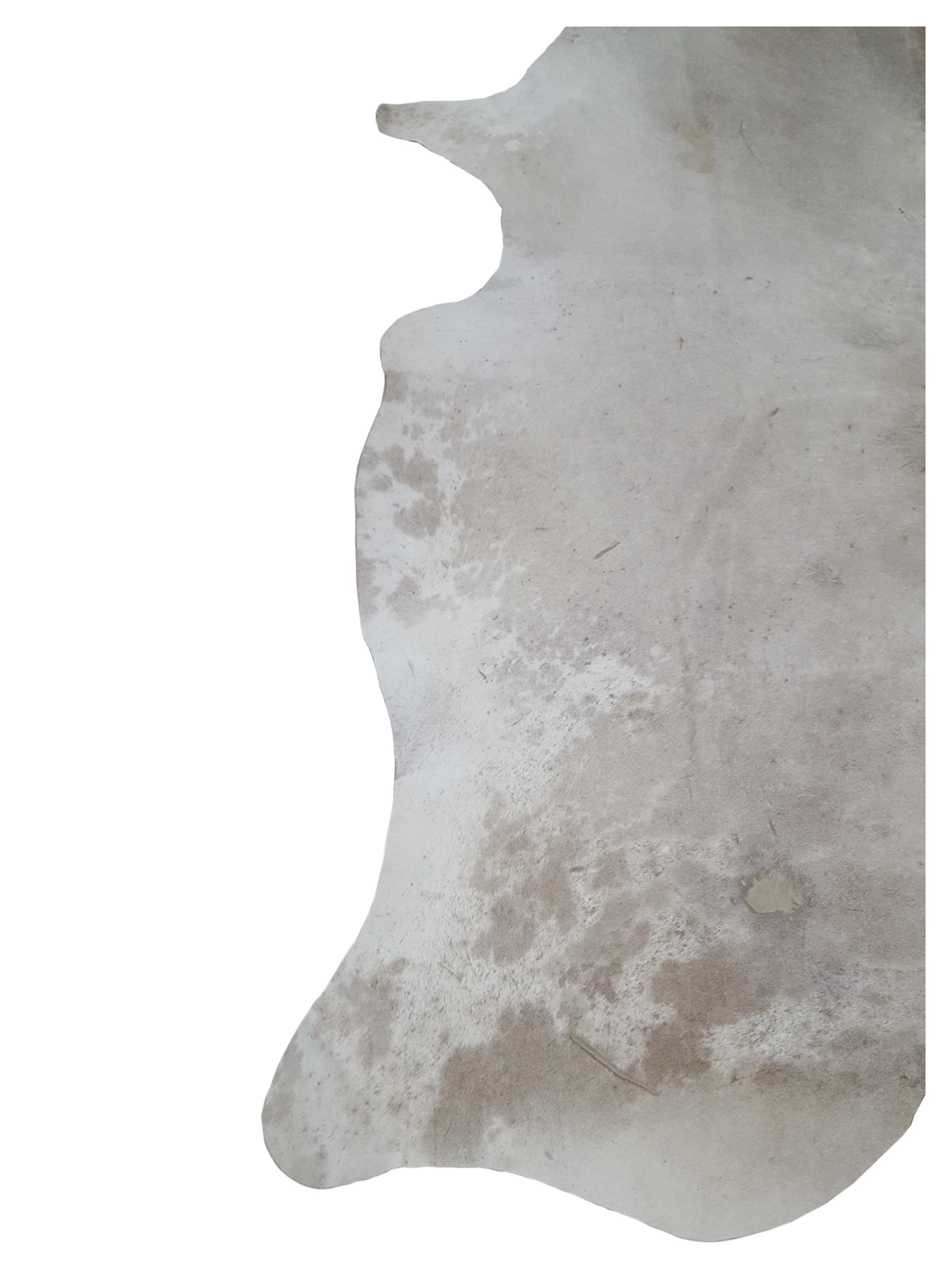 Brazil Cowhide 7x9 Ivory / Beige - Image 3 of 4
