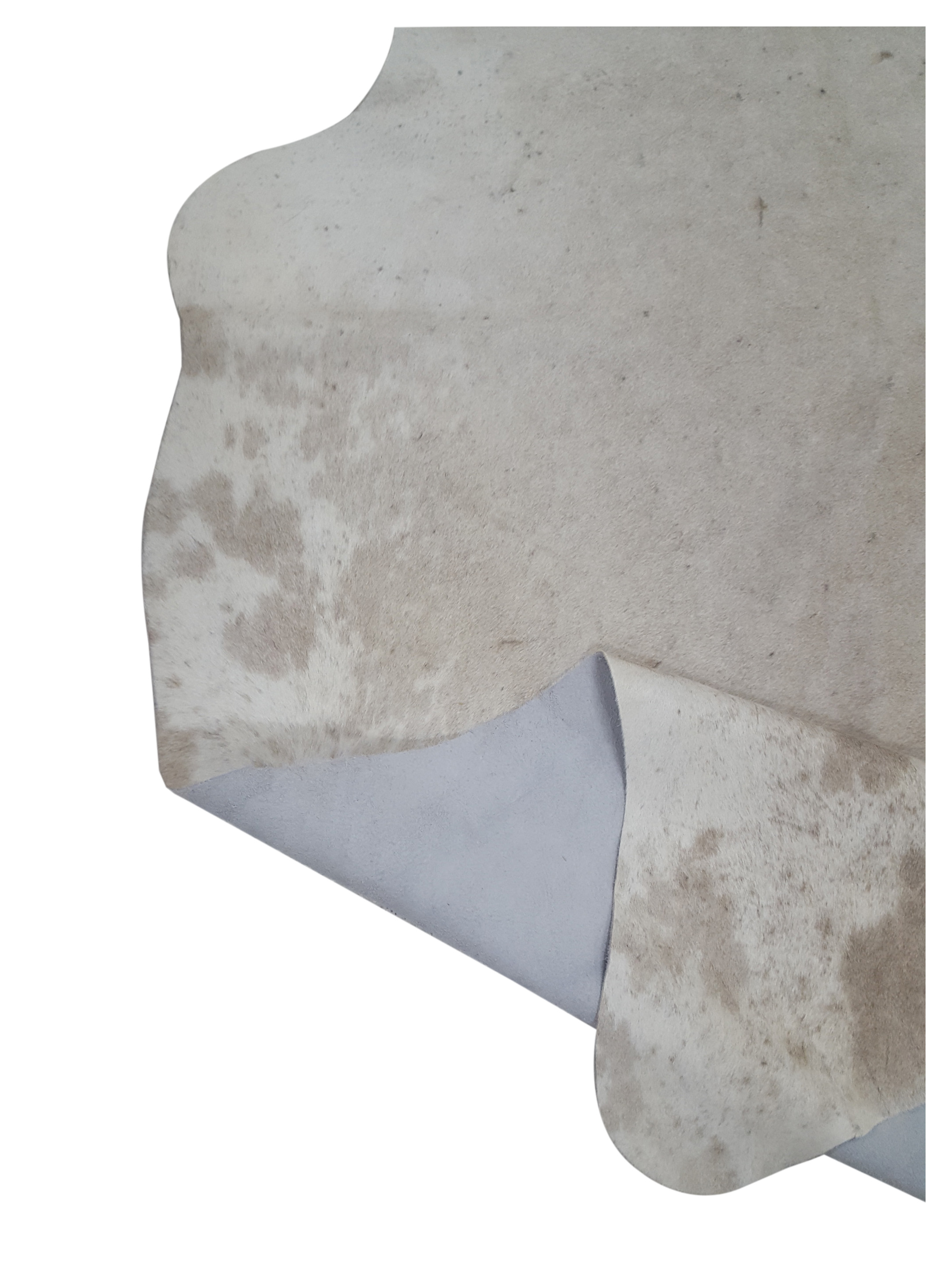Brazil Cowhide 7x9 Ivory / Beige - Image 4 of 4