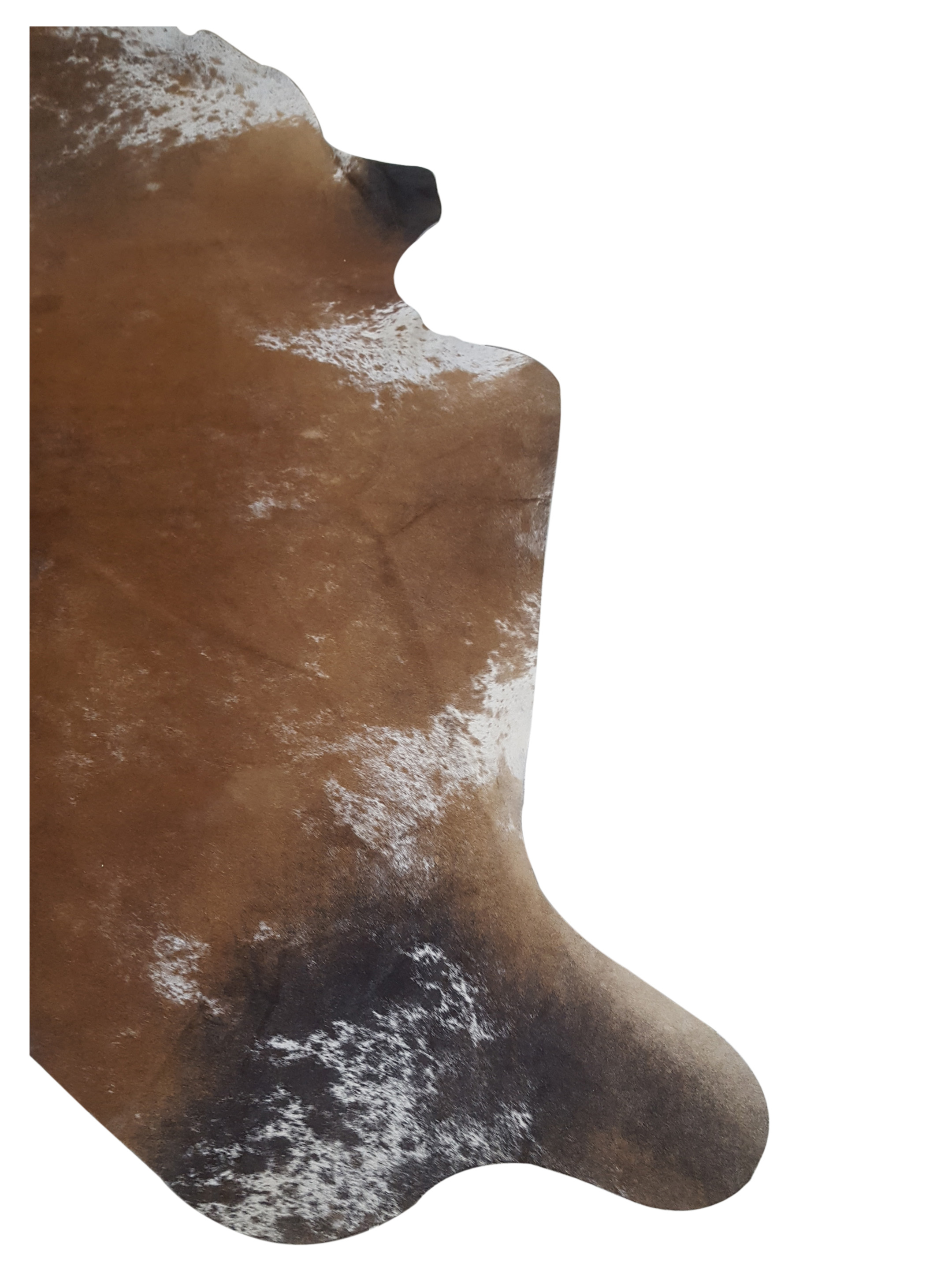 Brazil Cowhide 7x8 Mocha / Multi - Image 2 of 4