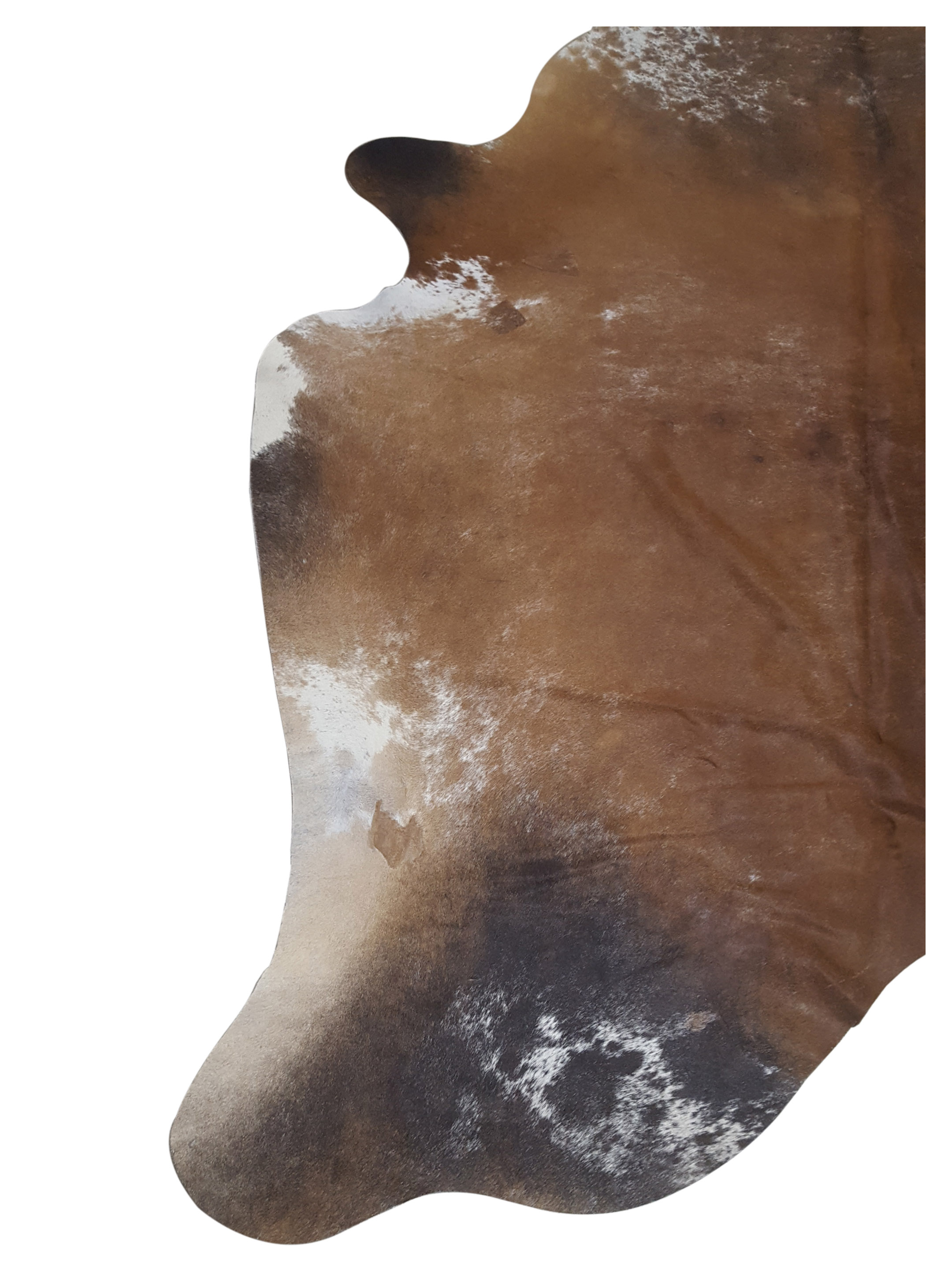 Brazil Cowhide 7x8 Mocha / Multi - Image 3 of 4