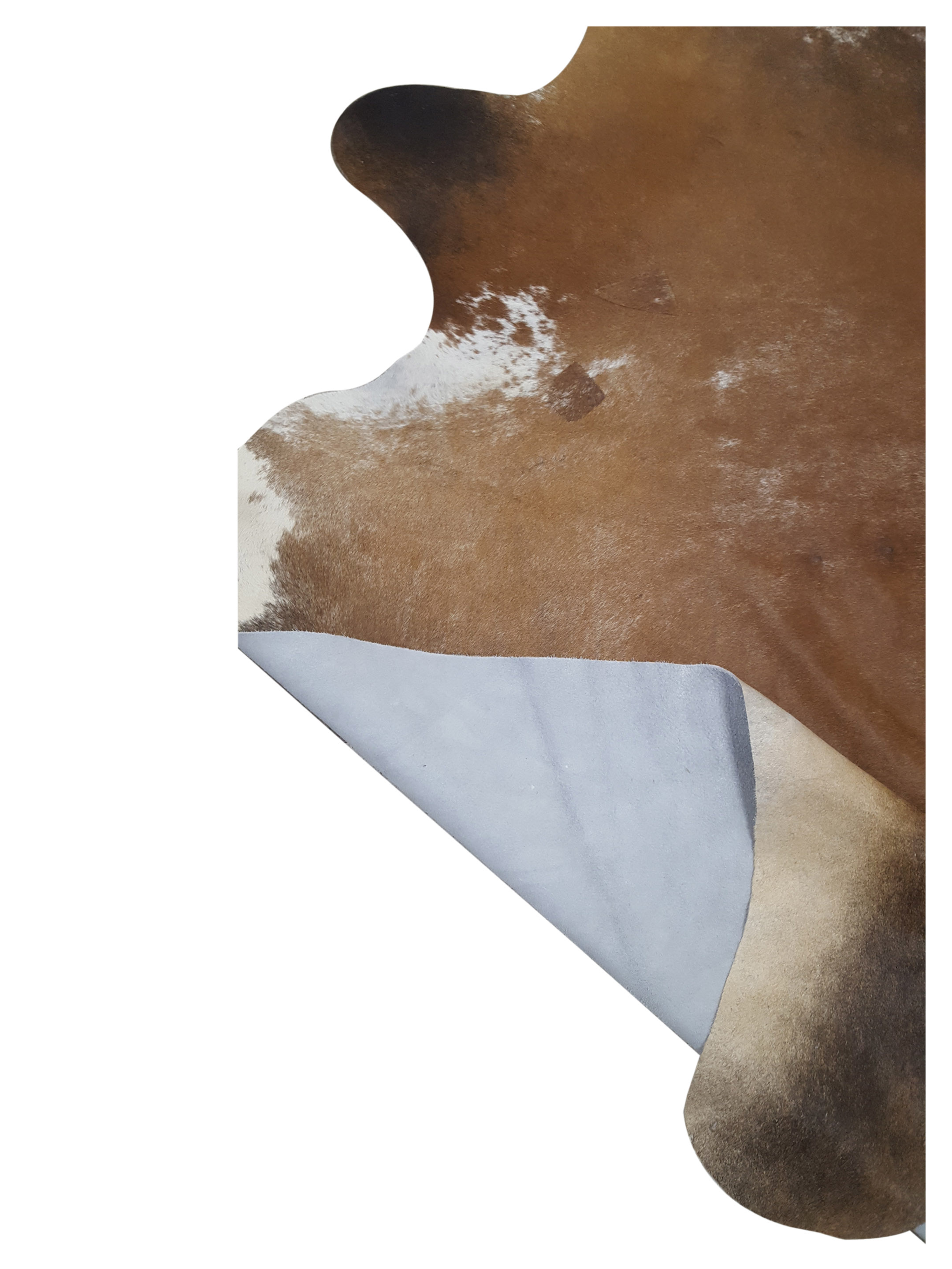 Brazil Cowhide 7x8 Mocha / Multi - Image 4 of 4