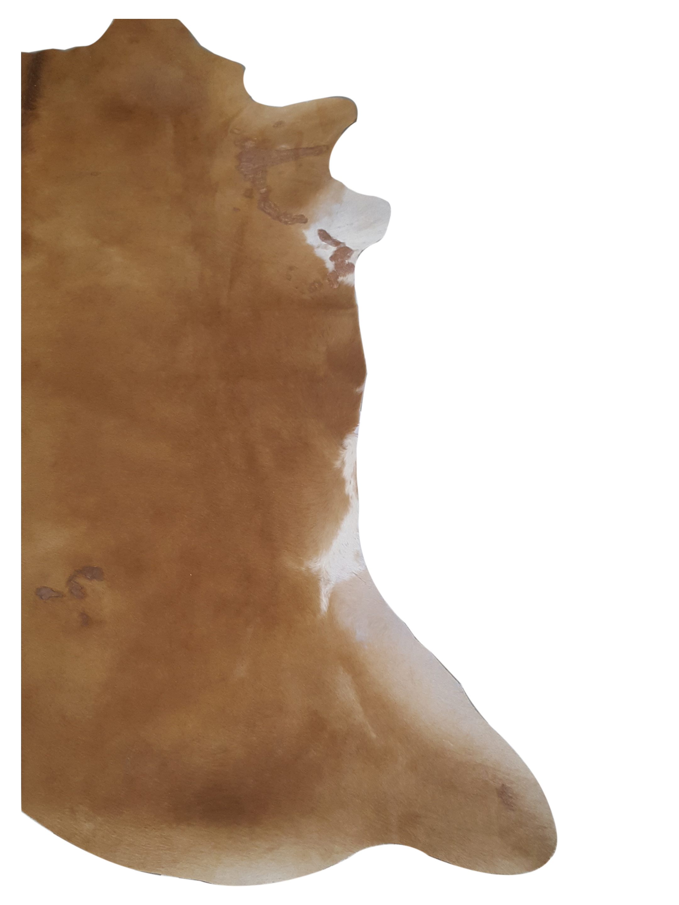 Brazil Cowhide 7x8 Camel / Ivory - Image 2 of 4