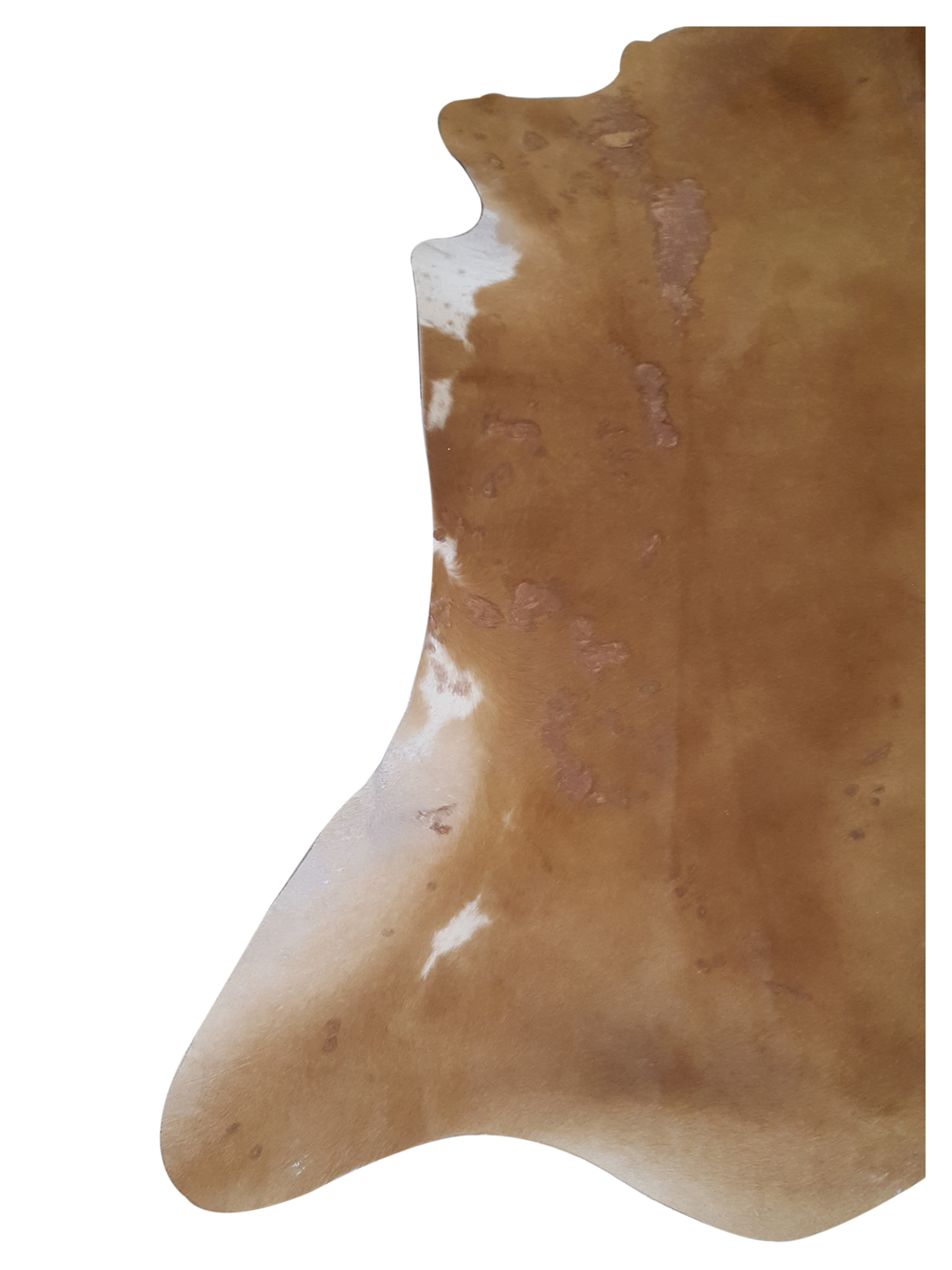 Brazil Cowhide 7x8 Camel / Ivory - Image 3 of 4