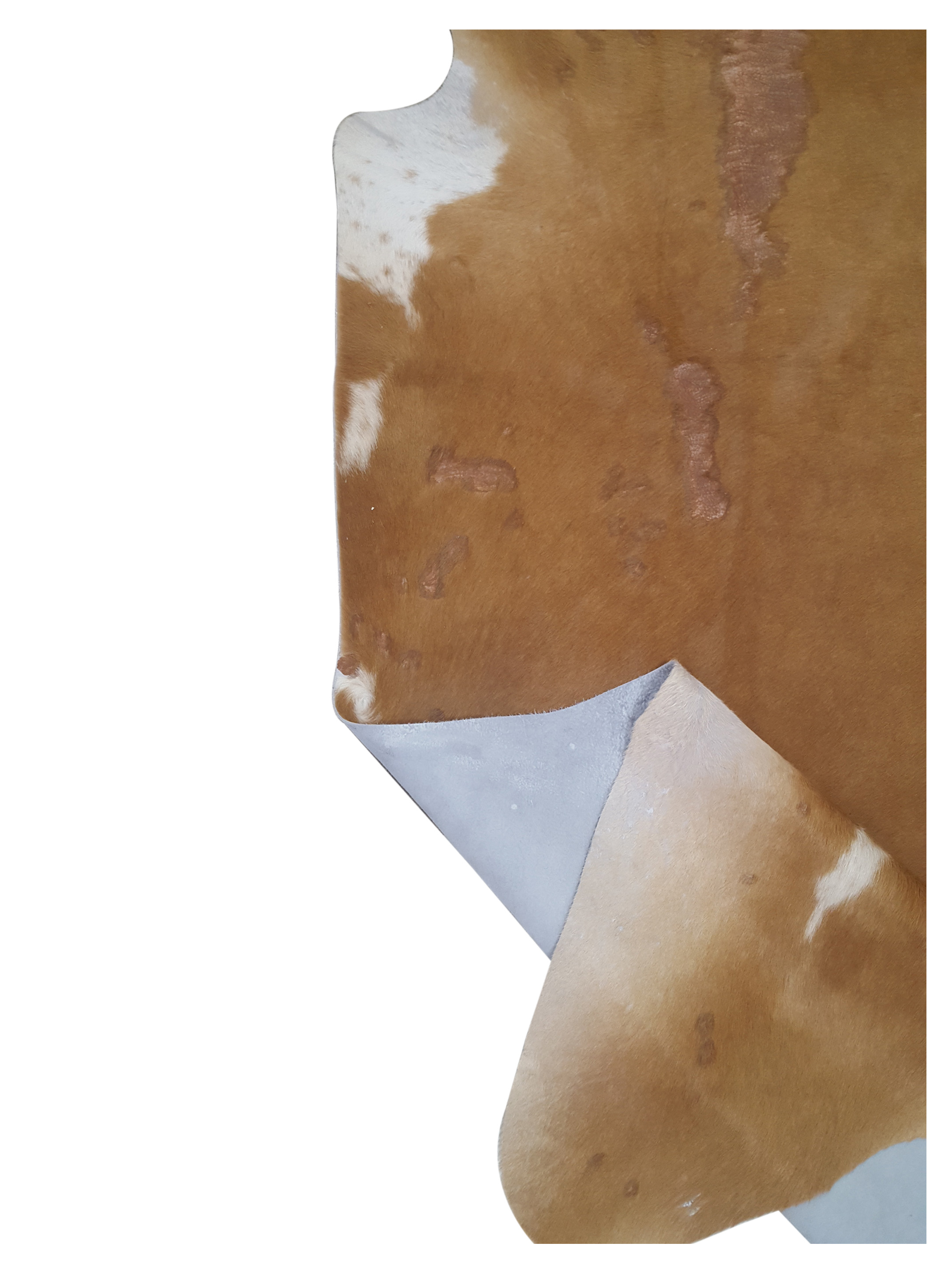Brazil Cowhide 7x8 Camel / Ivory - Image 4 of 4