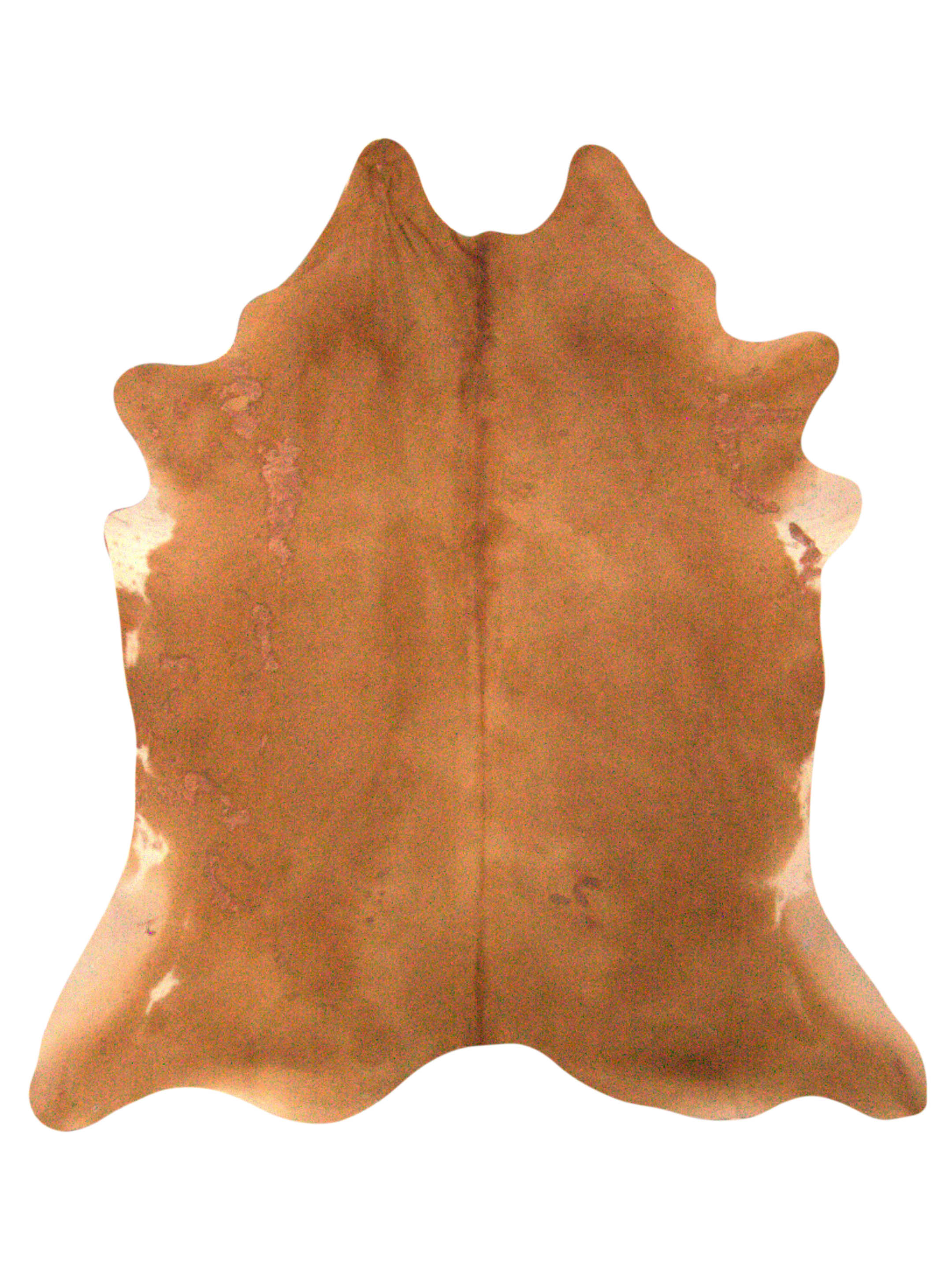 Brazil Cowhide 7x8 Camel / Ivory