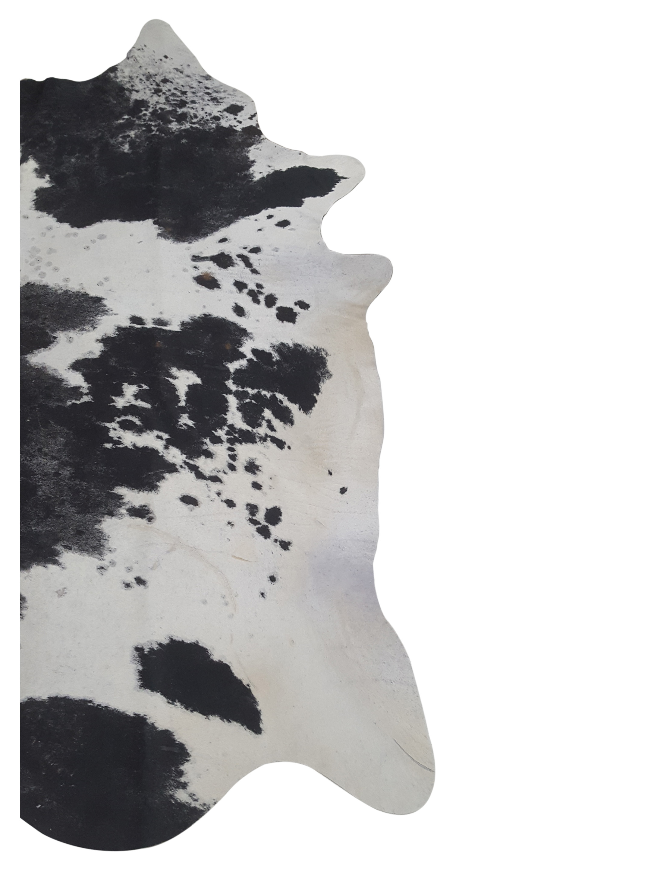 Brazil Cowhide 6x8 Espresso / Ivory - Image 2 of 4