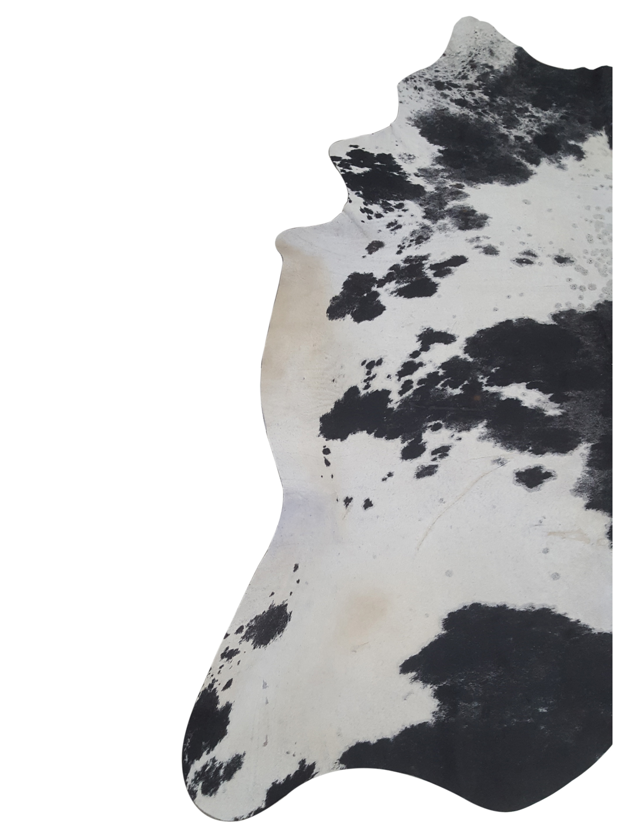 Brazil Cowhide 6x8 Espresso / Ivory - Image 3 of 4