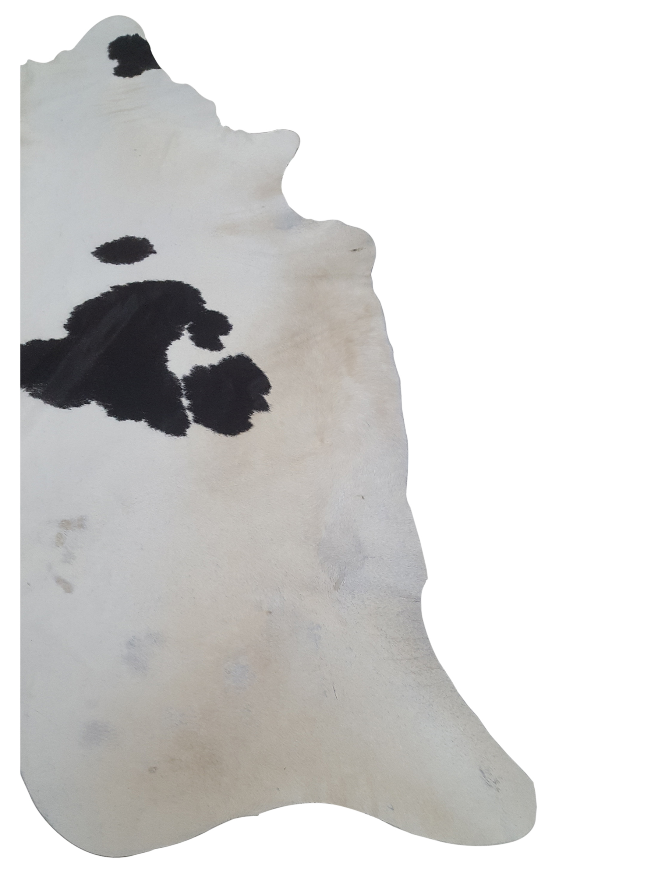 Brazil Cowhide 7x9 Ivory / Espresso - Image 2 of 4