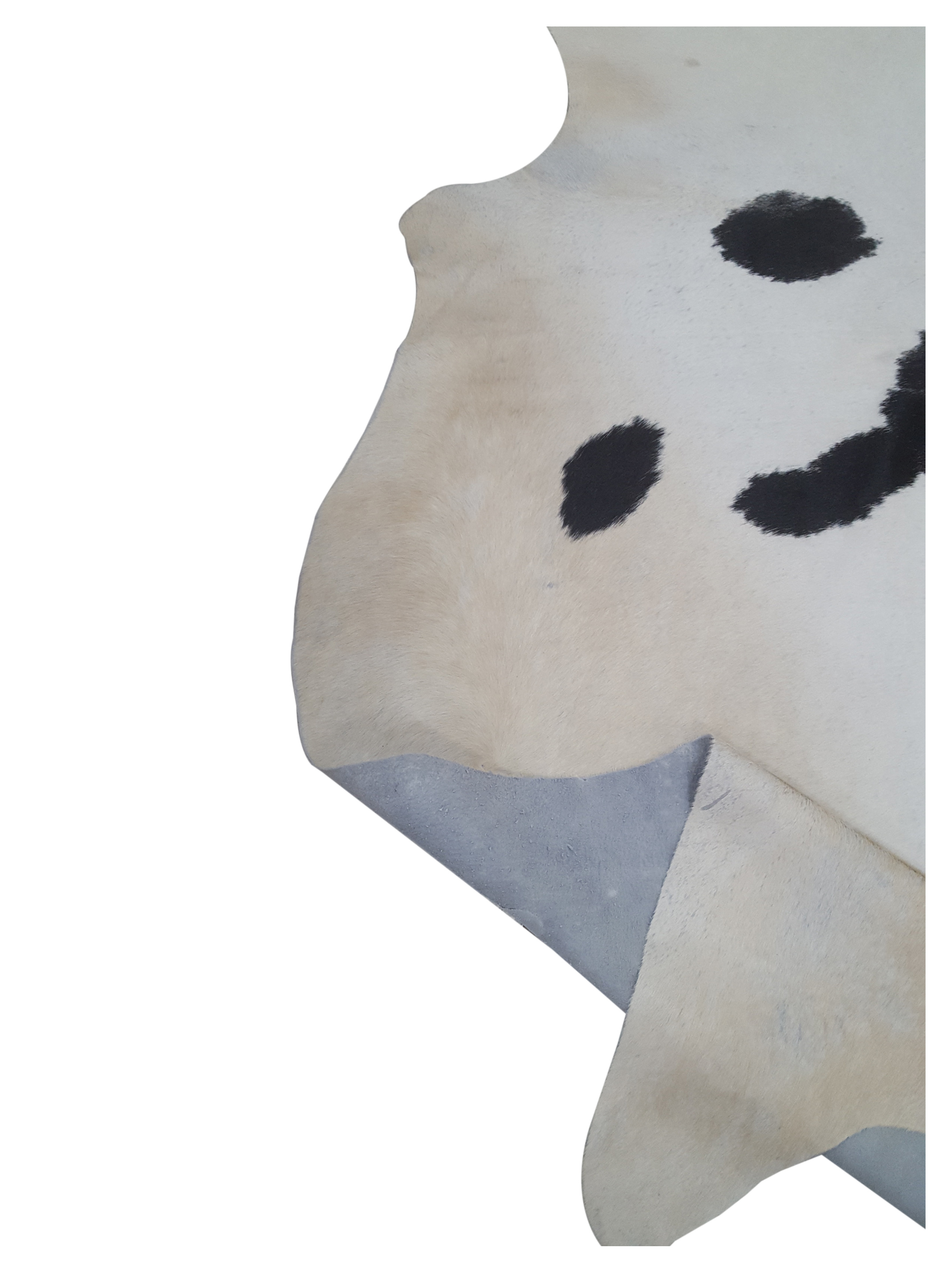 Brazil Cowhide 7x9 Ivory / Espresso - Image 4 of 4