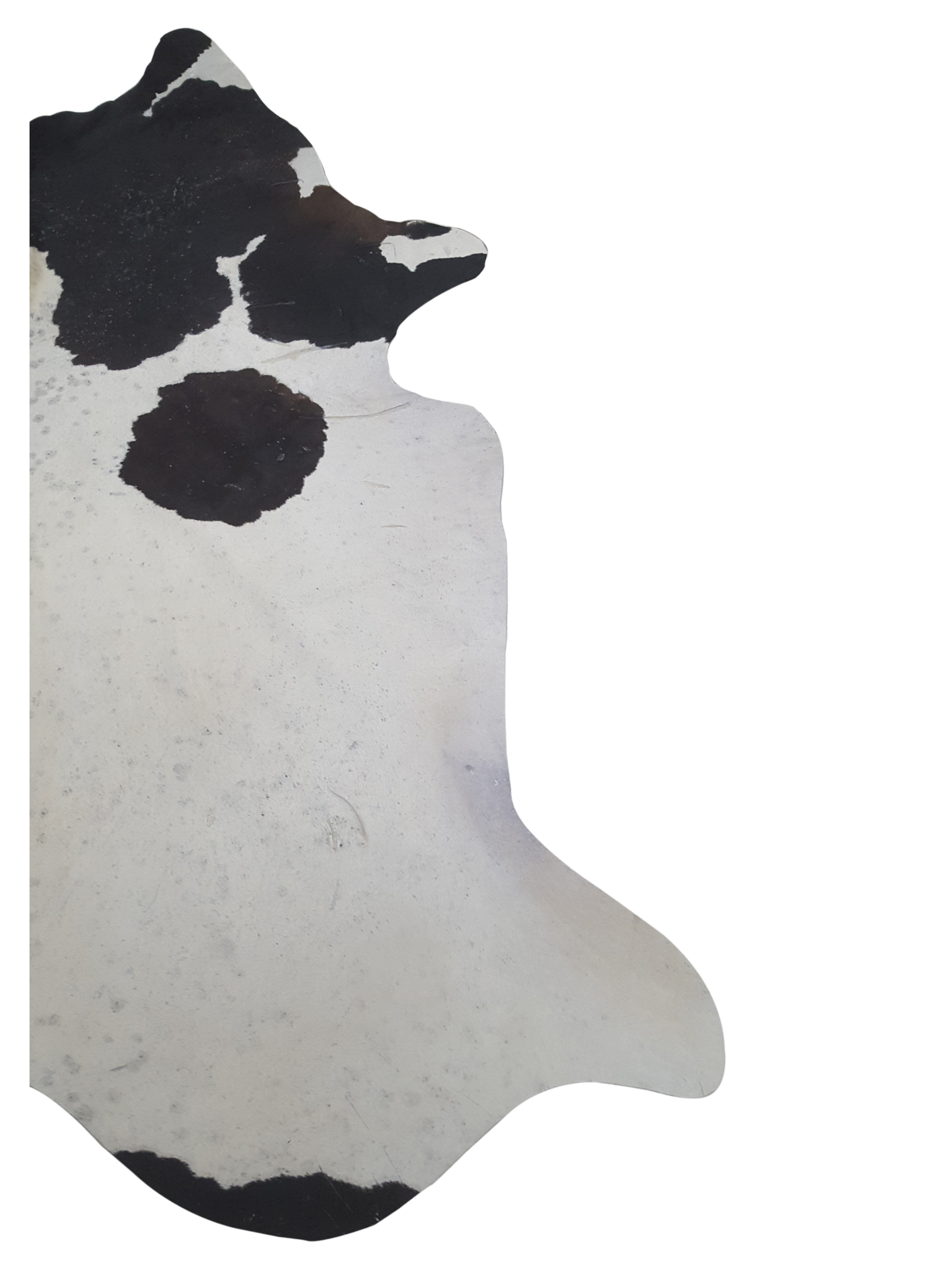 Brazil Cowhide 7x8 Ivory / Espresso - Image 2 of 4