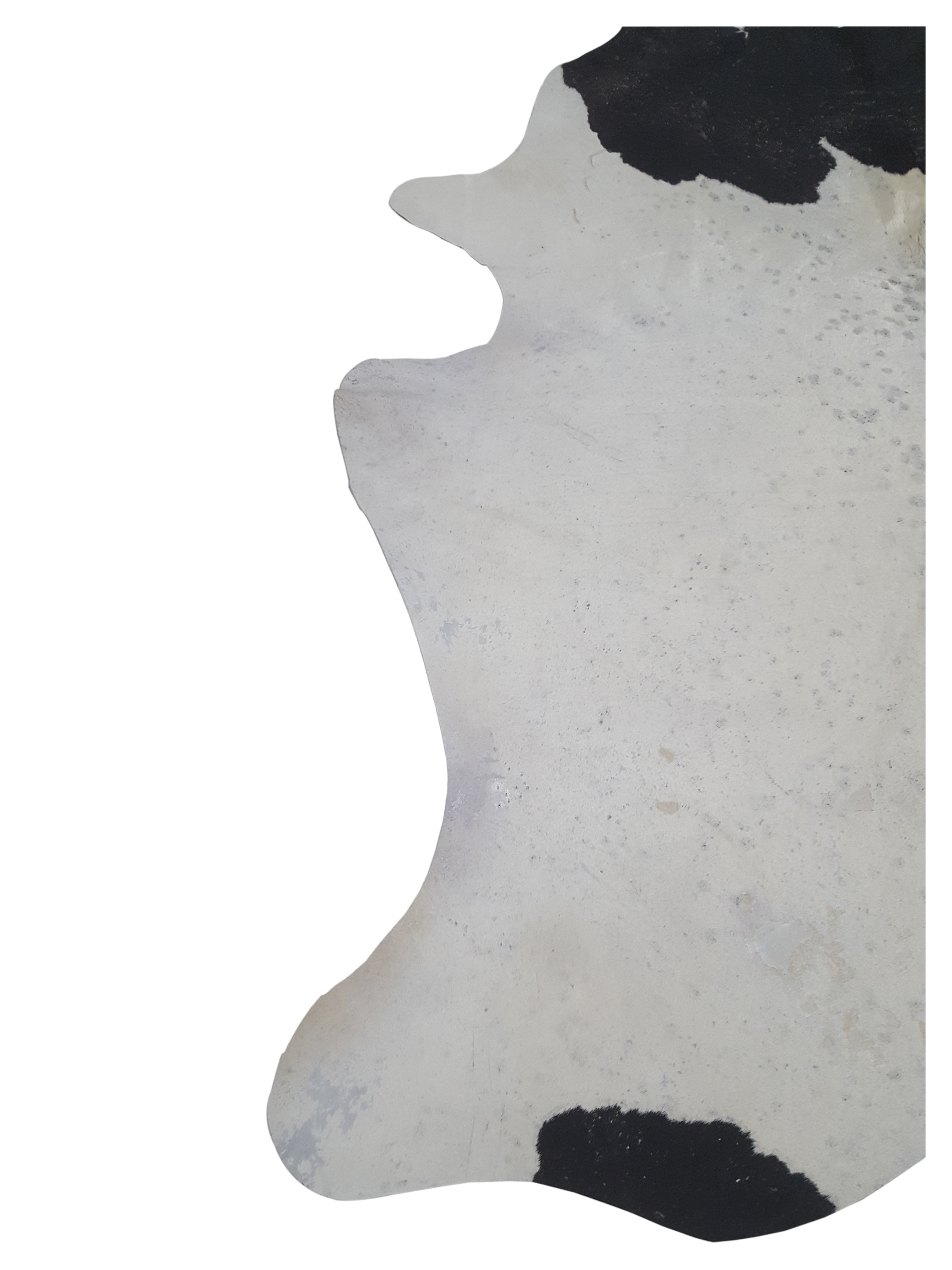 Brazil Cowhide 7x8 Ivory / Espresso - Image 3 of 4
