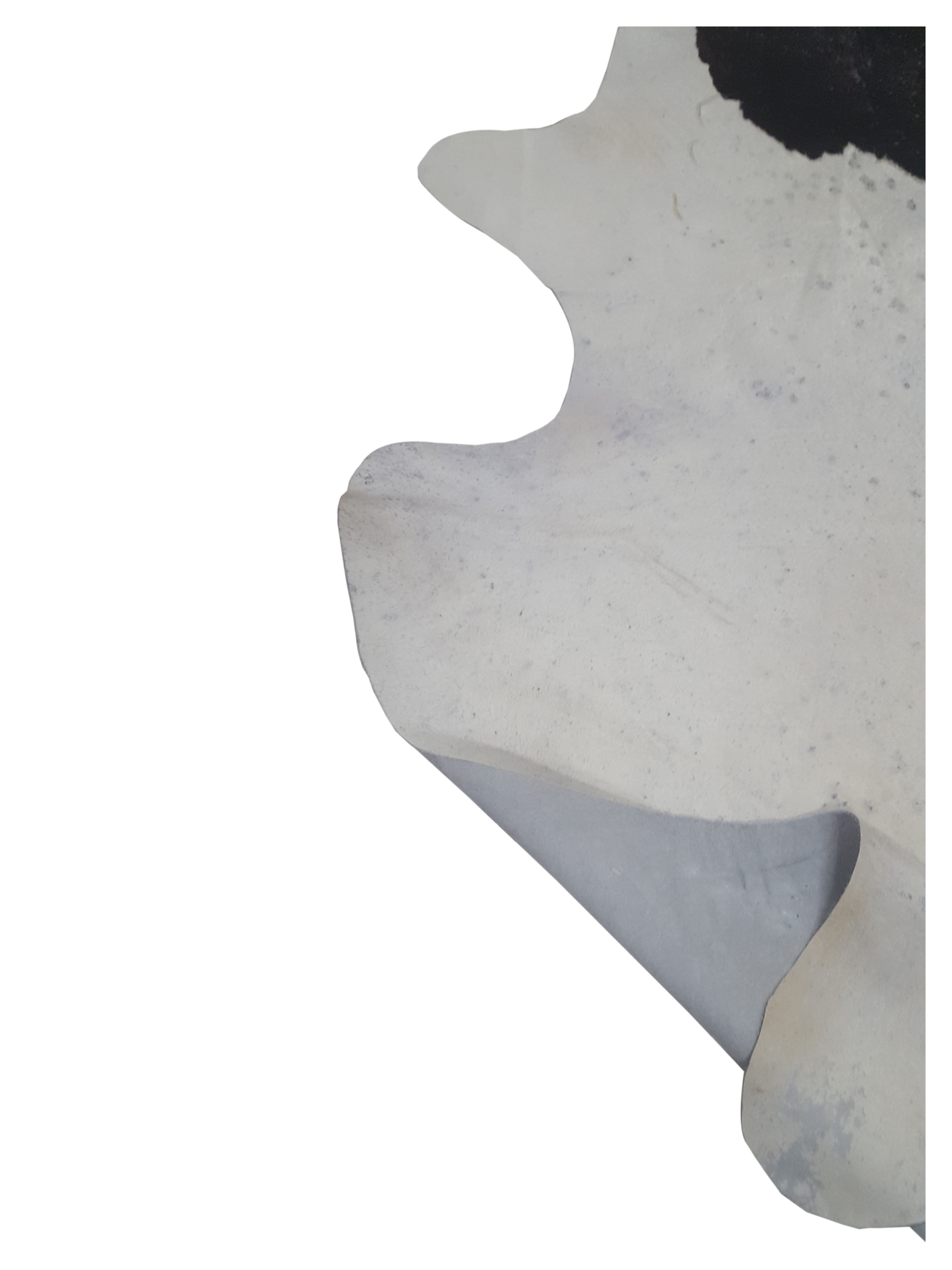 Brazil Cowhide 7x8 Ivory / Espresso - Image 4 of 4