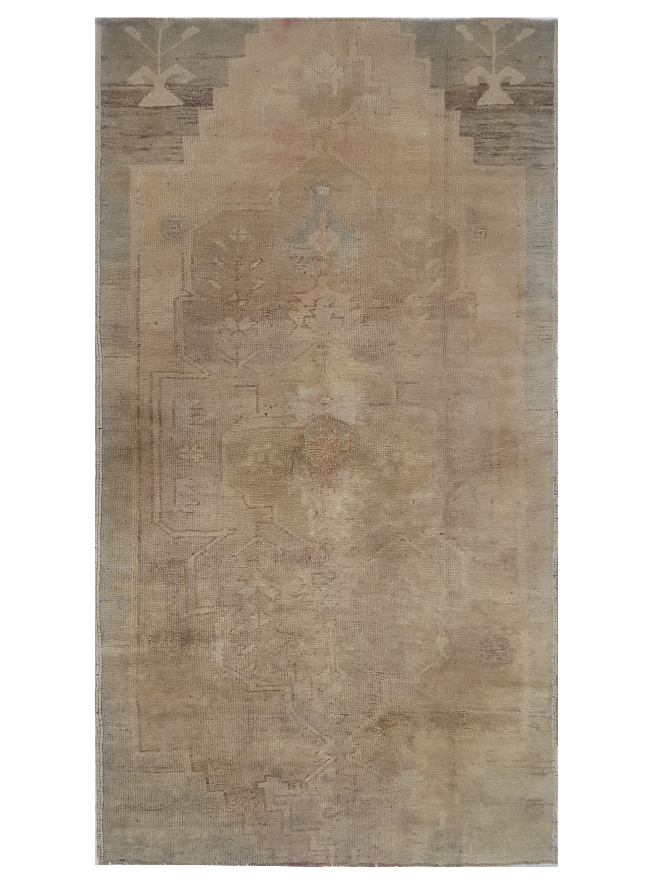 Anatolia Hand Knotted Camel 3x6